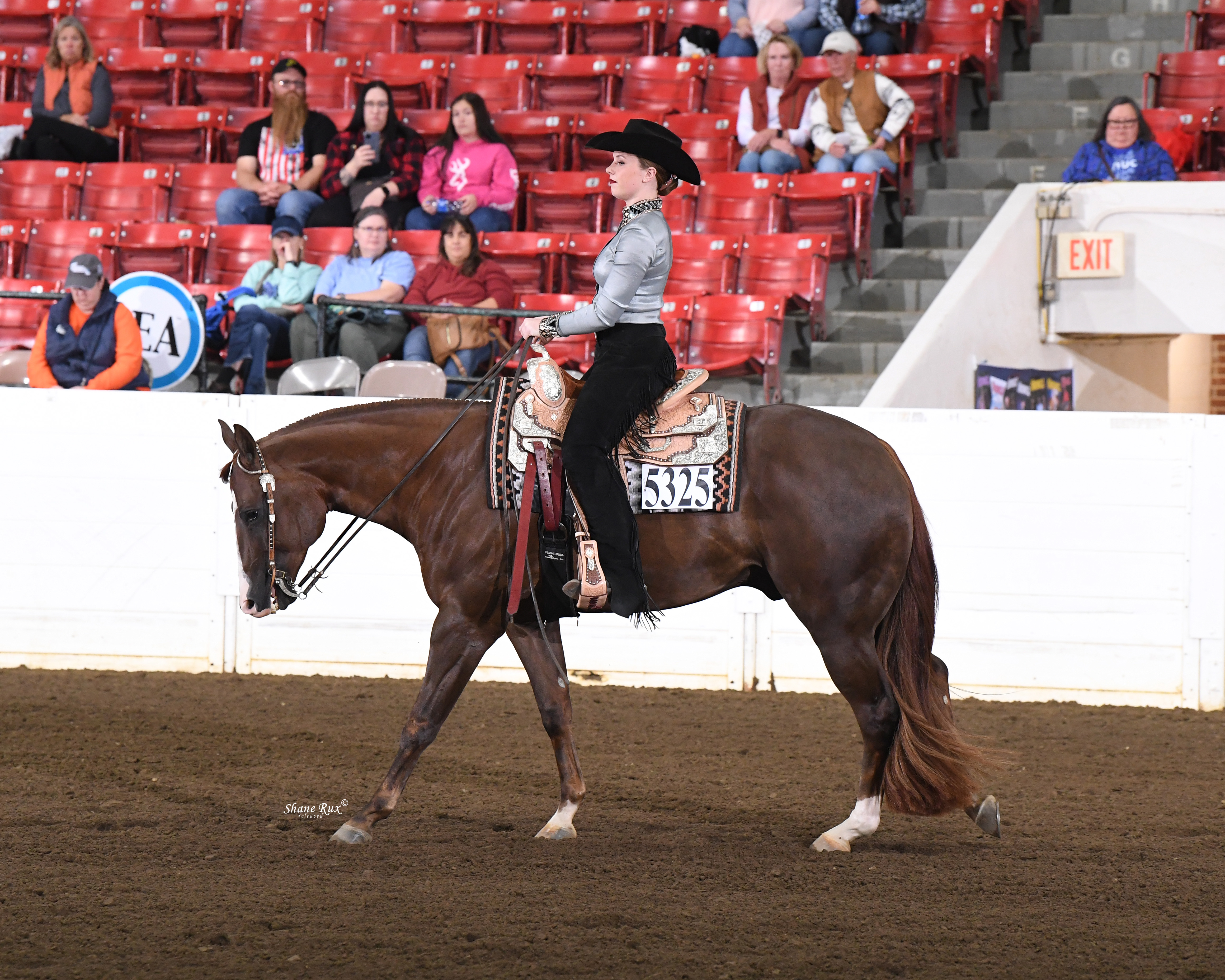 West Fargo Sheyenne's Piper Anderson commits to Oklahoma State for equestrian - Vimarsana News