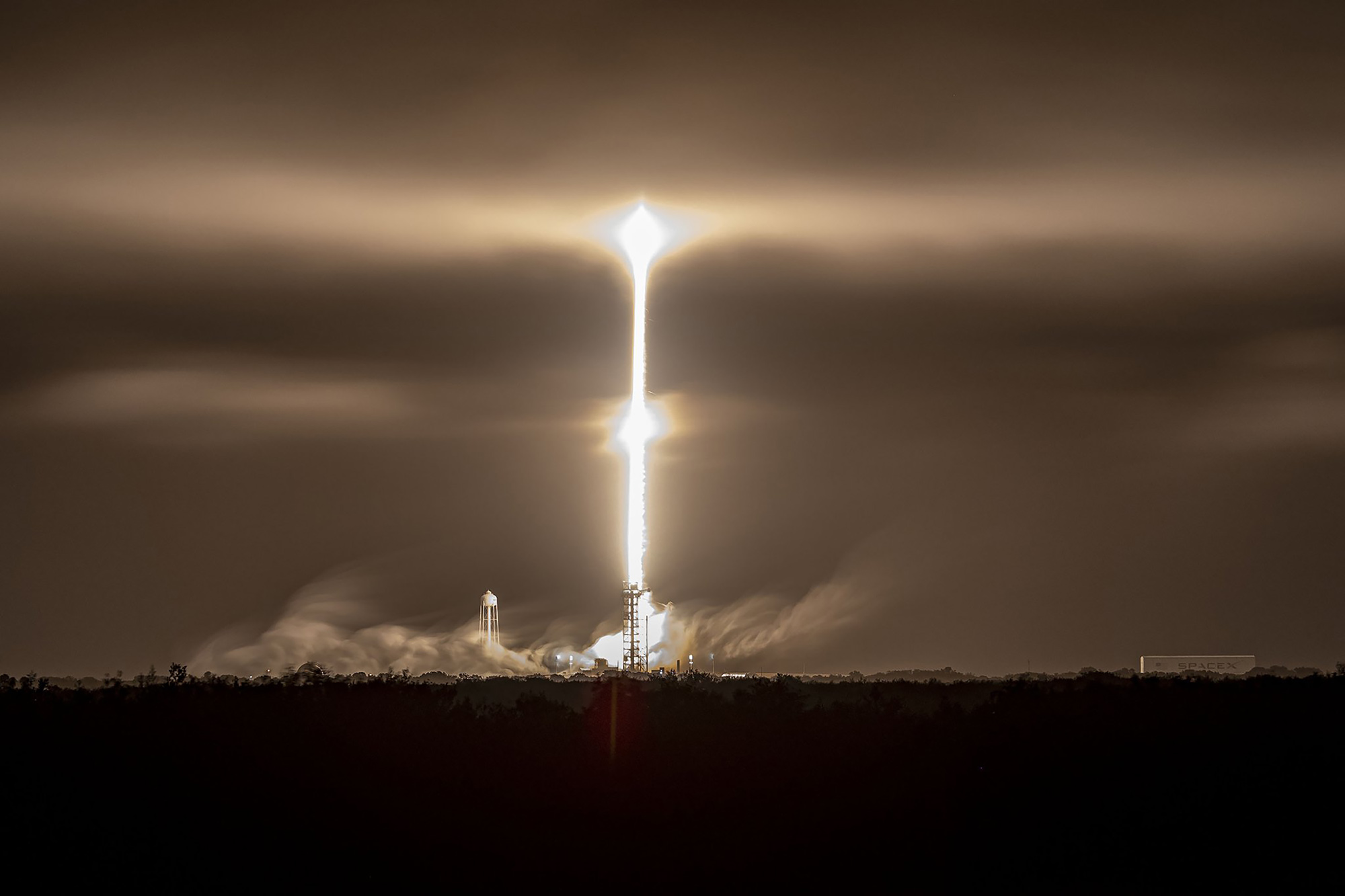 Skin cell Band-Aid, monoclonal antibodies among experiments launched by SpaceX - Vimarsana News