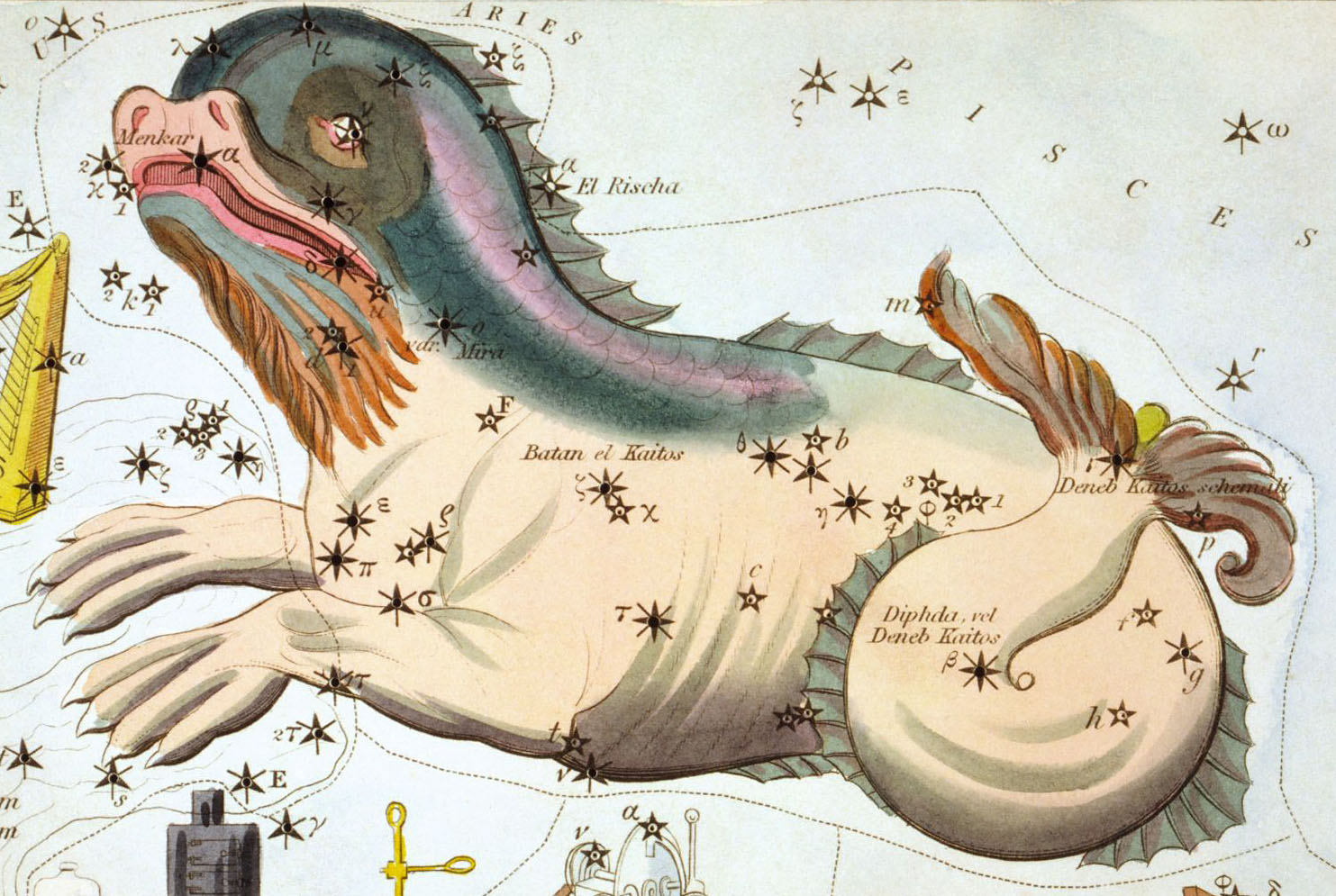 Astro Bob: Sea beast of the southern sky - Vimarsana News