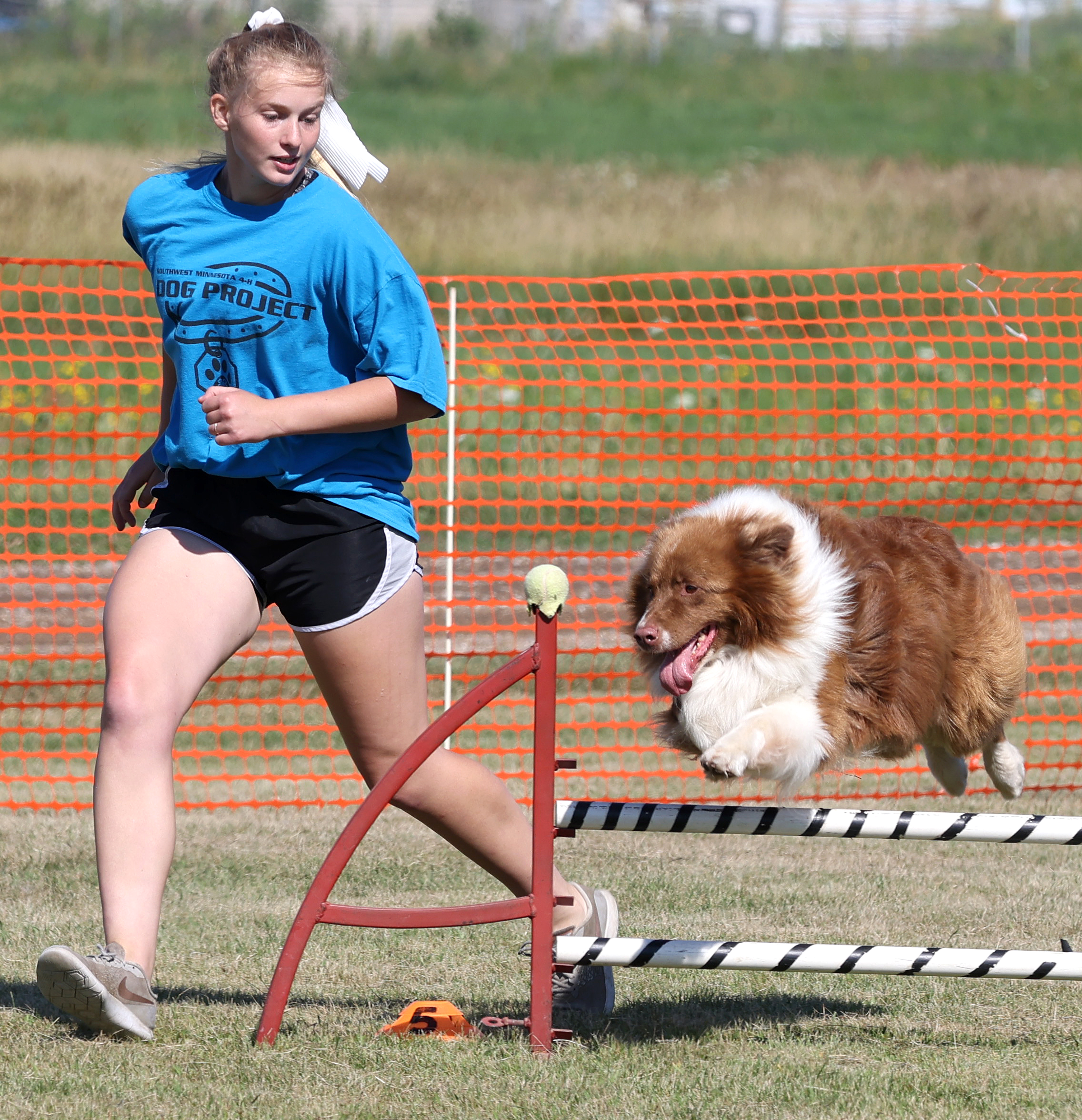 Southwest Minnesota Regional Dog Show kicks off fair week in Nobles County - Vimarsana News