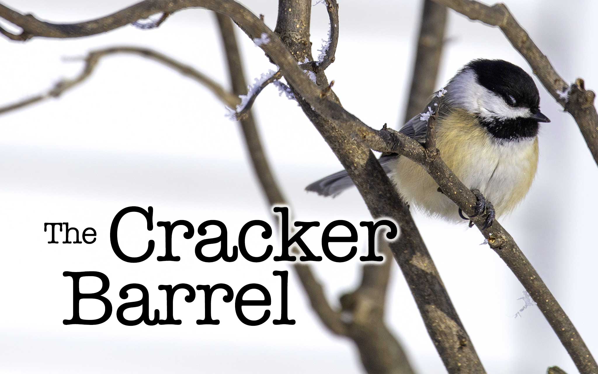 The Cracker Barrel: Winter friends - Vimarsana News