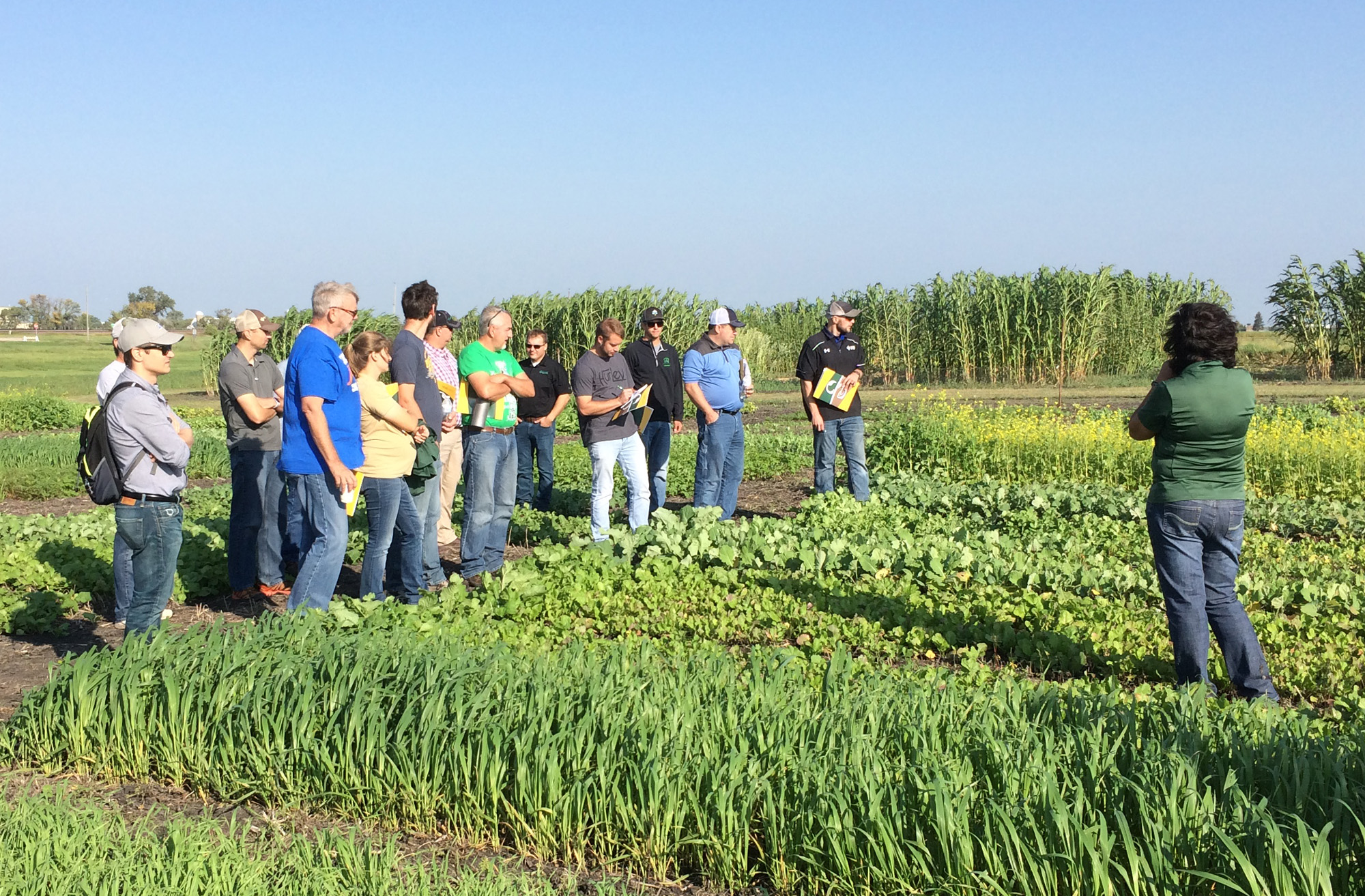 NDSU sets cover crops, intercropping and soil health field day - Vimarsana News