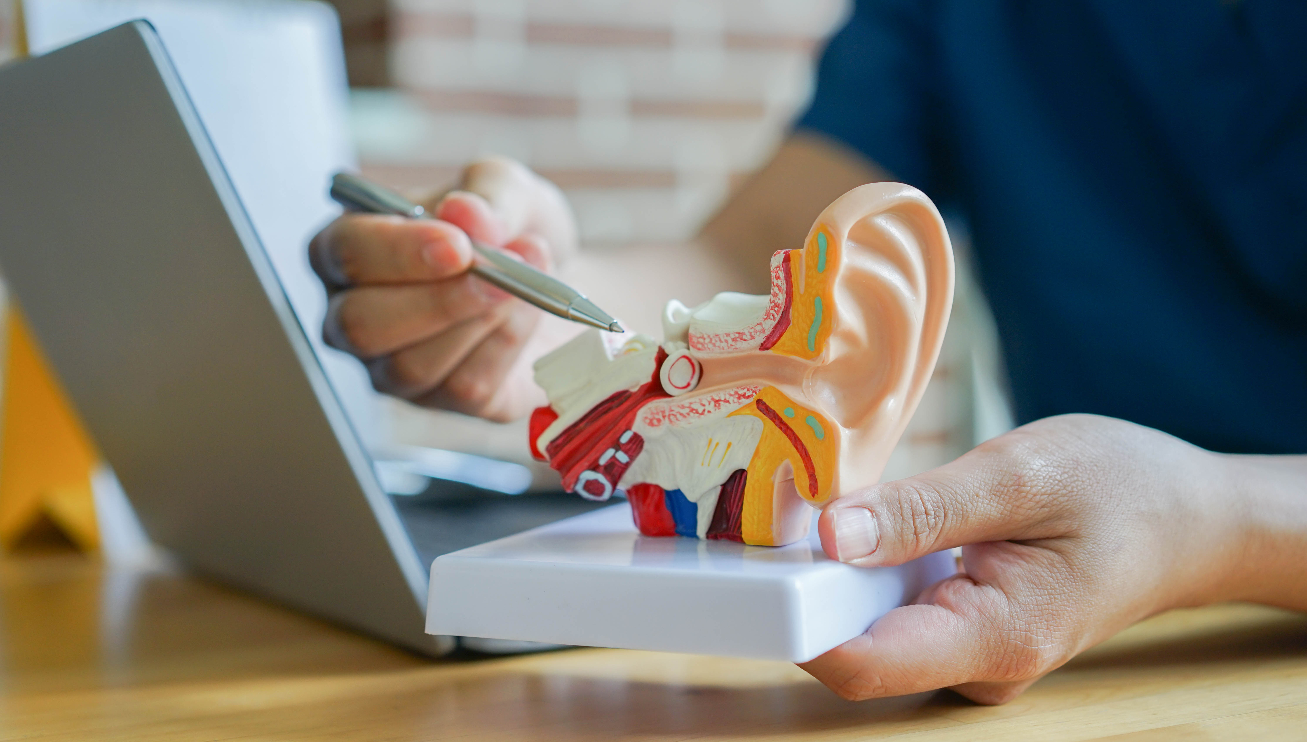 Dickinson audiologist explains hearing loss, preventative measures - Vimarsana News