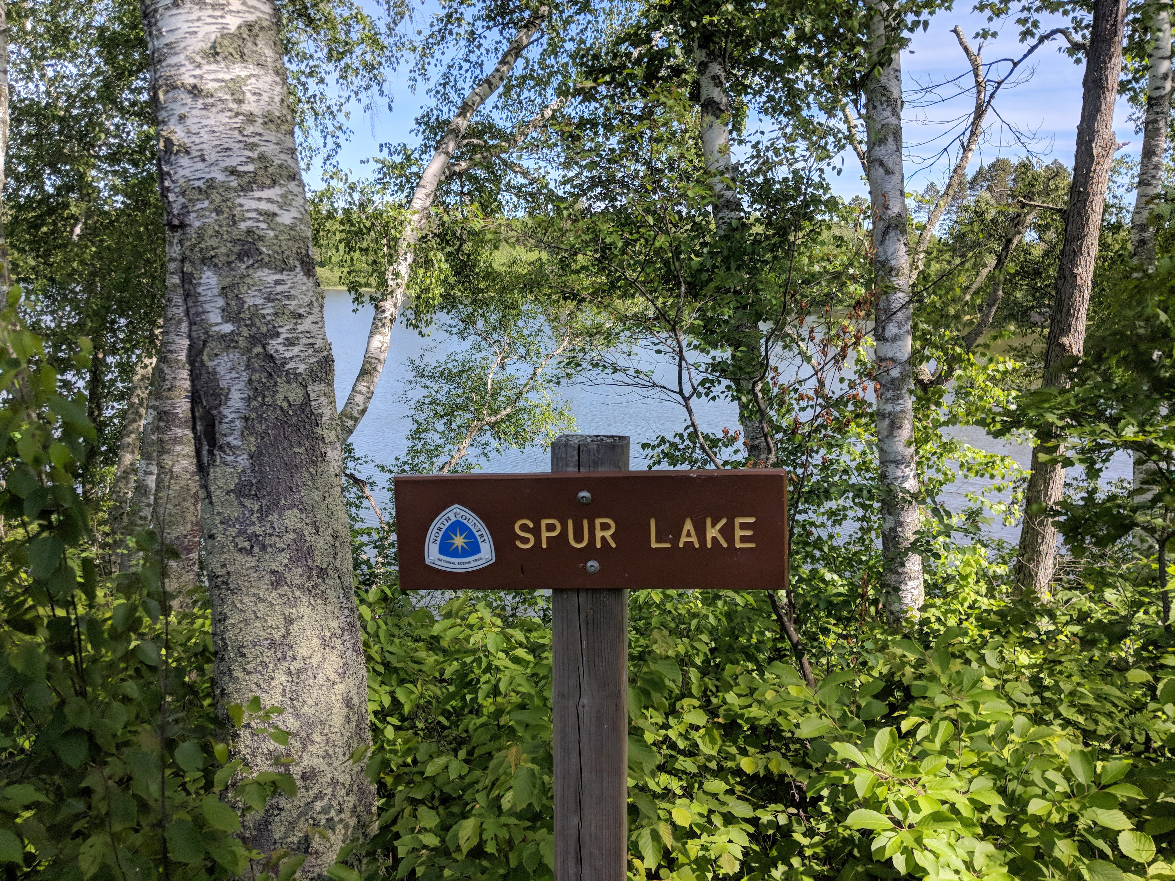 National celebration of North Country Trail to be held in Walker - Vimarsana News