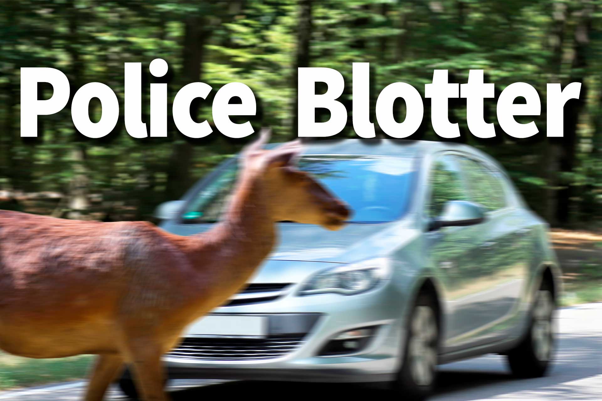 Police Blotter: June 25, 2022 - Vimarsana News