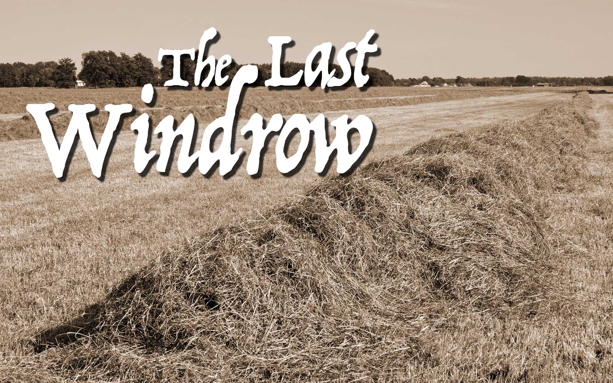 The Last Windrow: If you don't understand my words, contact me - or Google it - Vimarsana News