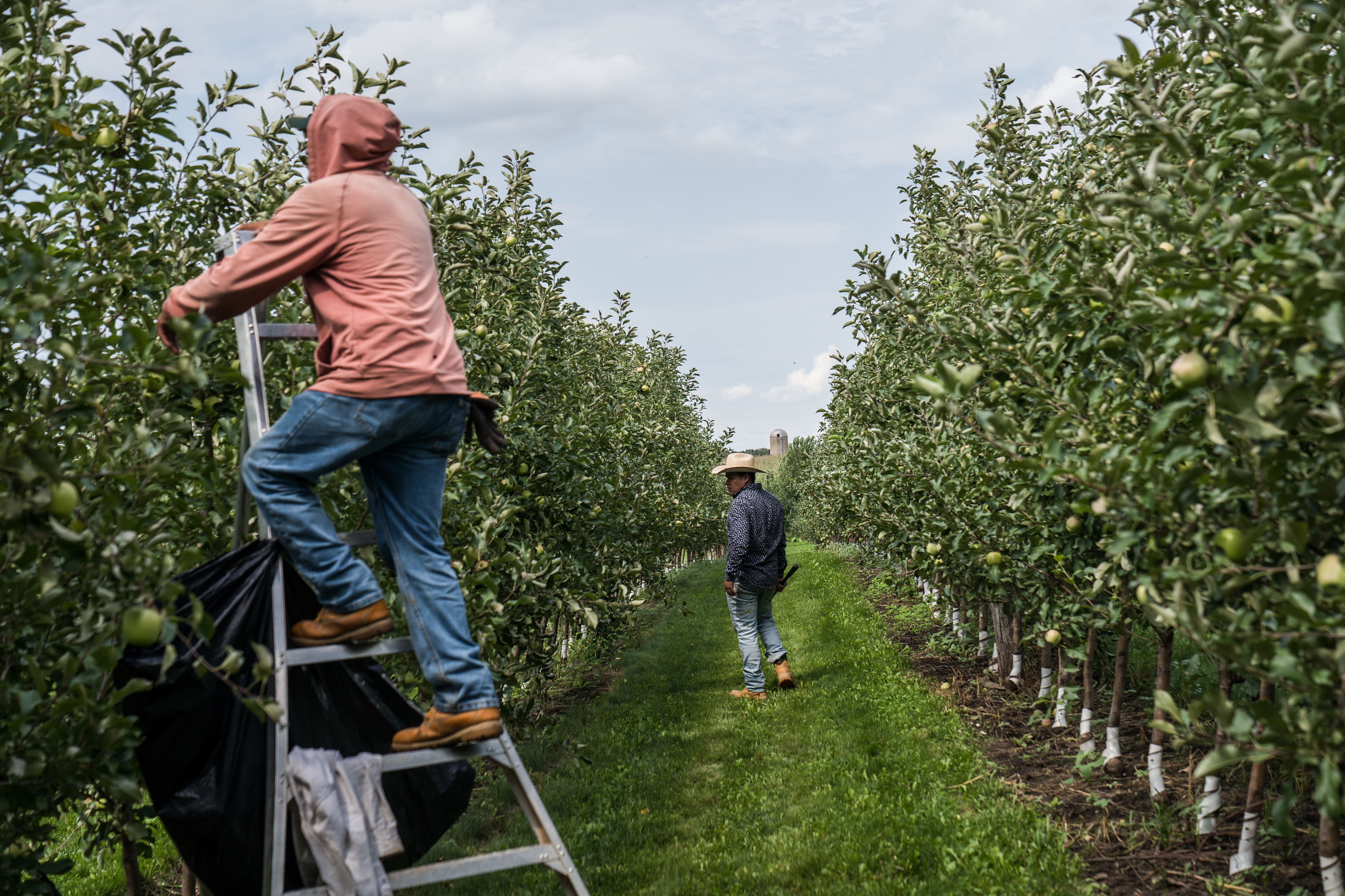 Federal movement to reform H-2A visa program as many call for changes to seasonal labor regulations - Vimarsana News