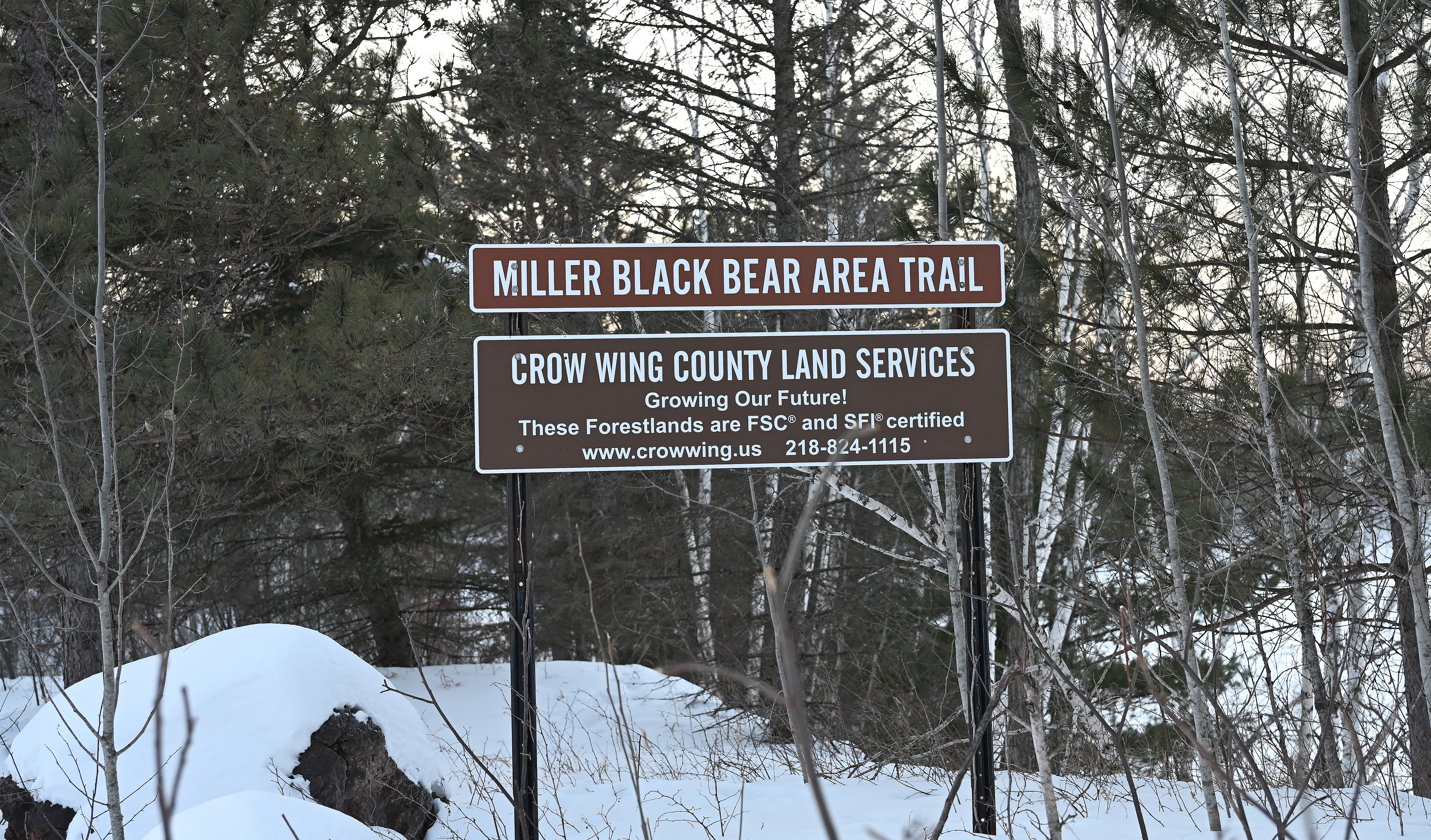 Miller Black Bear Trail to expand by 12.5 miles - Vimarsana News