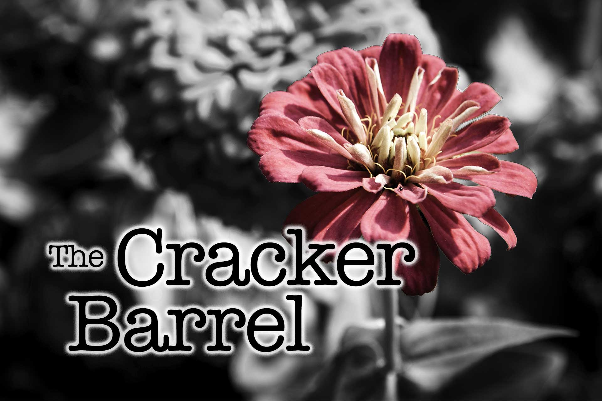 The Cracker Barrel: Night thoughts - Vimarsana News