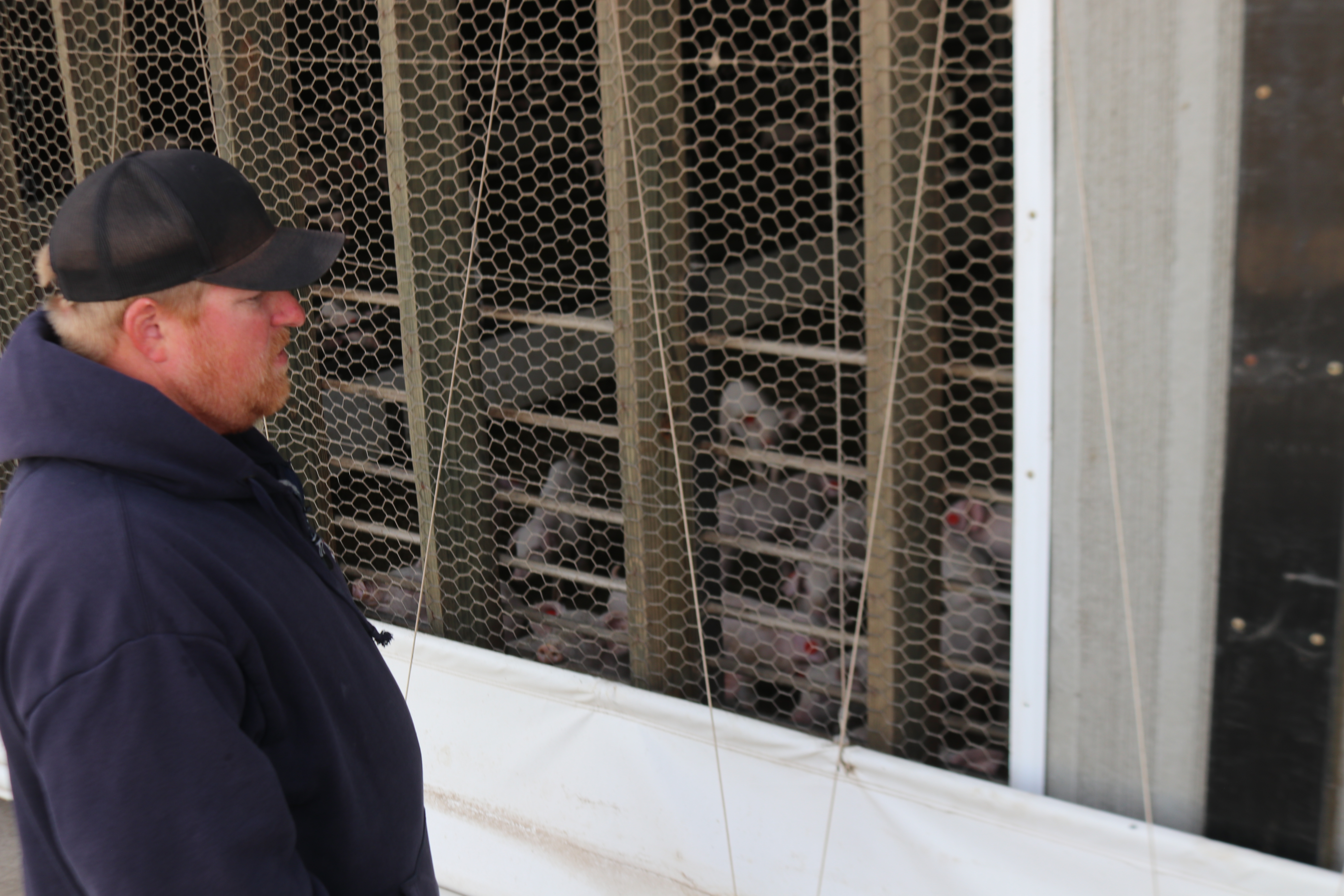 What's holding back animal agriculture in North Dakota? - Vimarsana News
