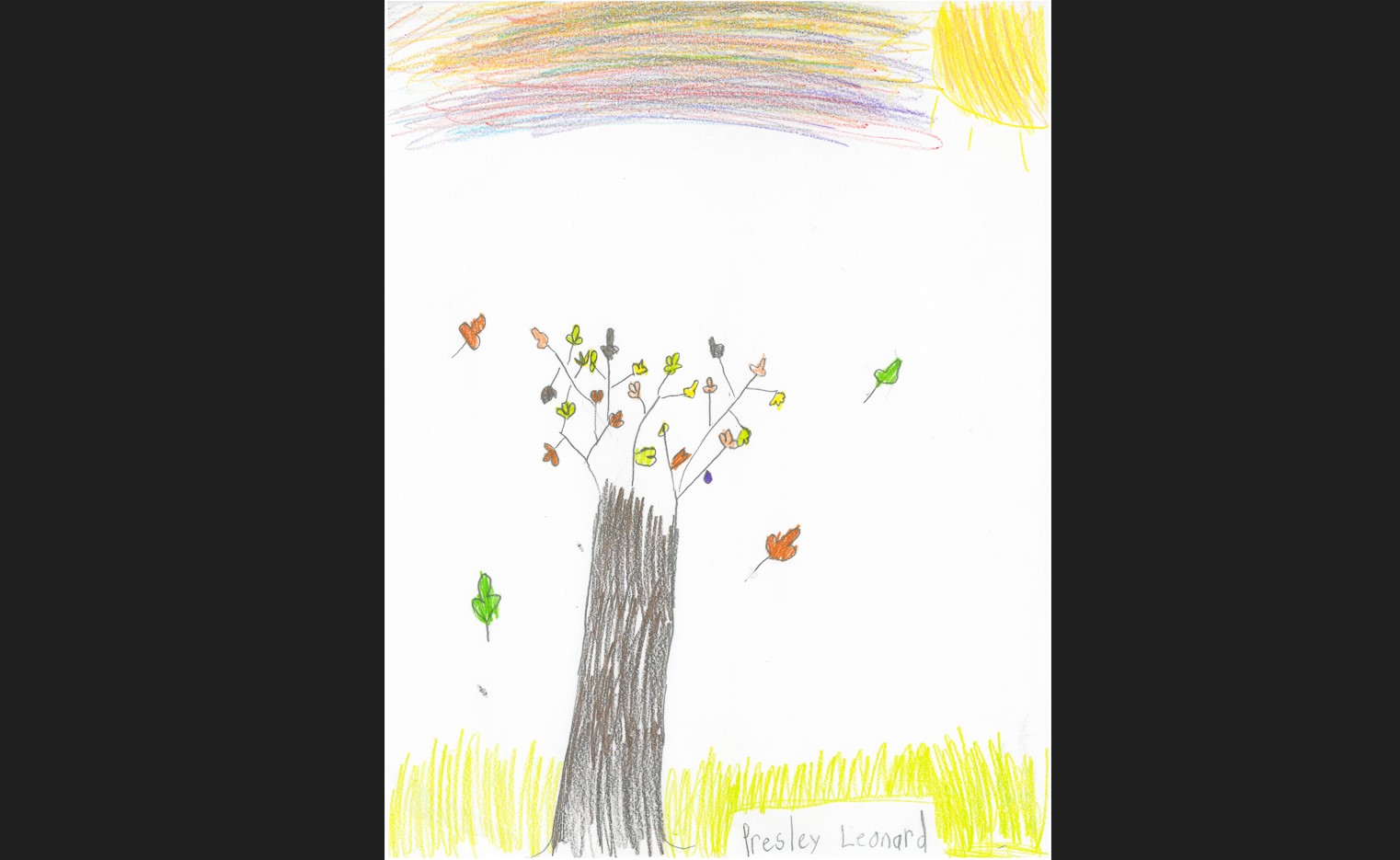 Weather Drawing: Autumn foliage - Vimarsana News