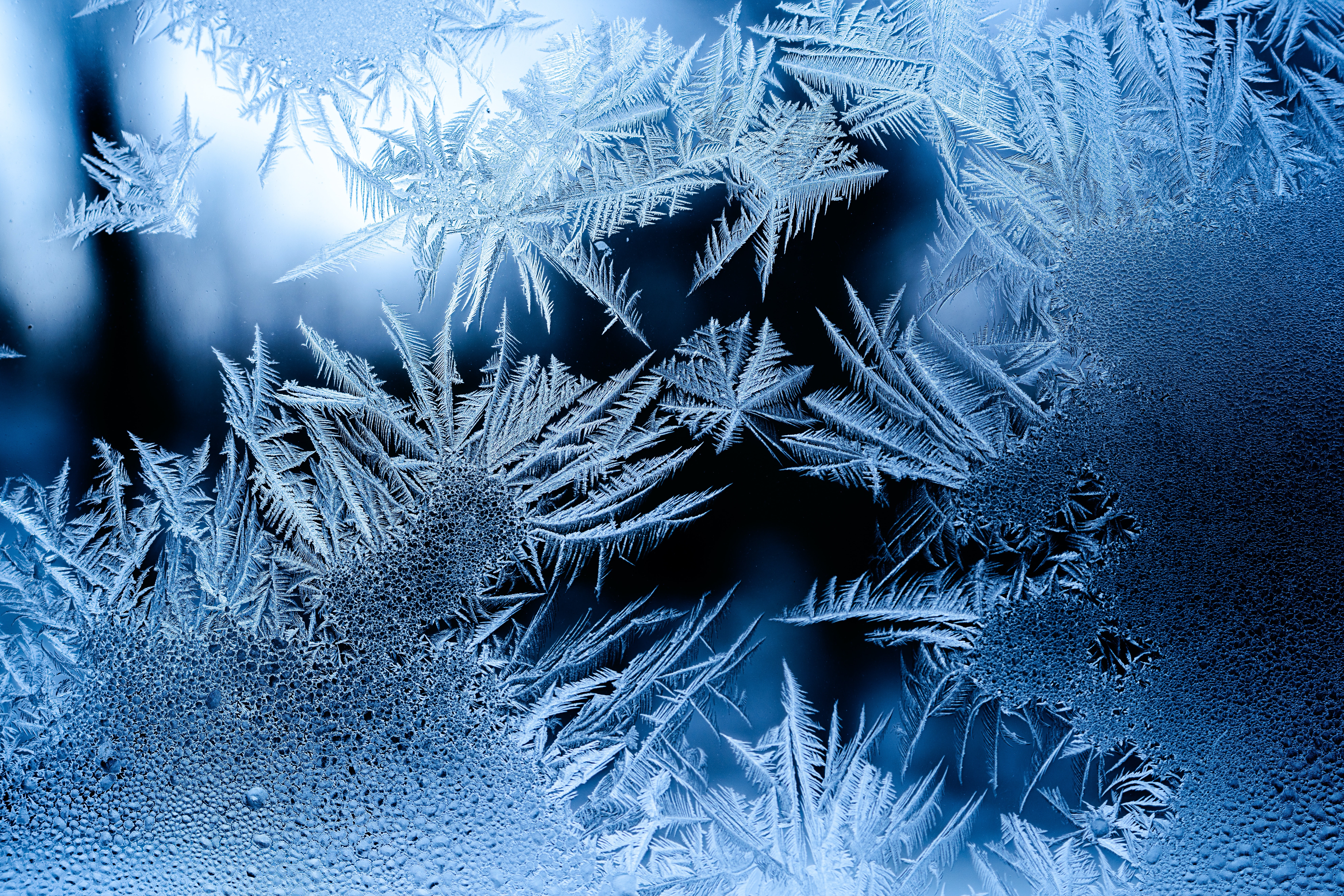 District 518 cancels school Thursday, Friday - Vimarsana News