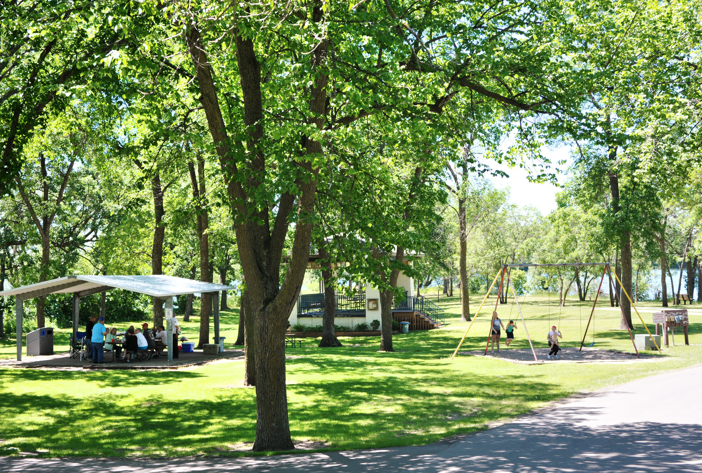 Alexandria parks to be studied for improvements - Vimarsana News