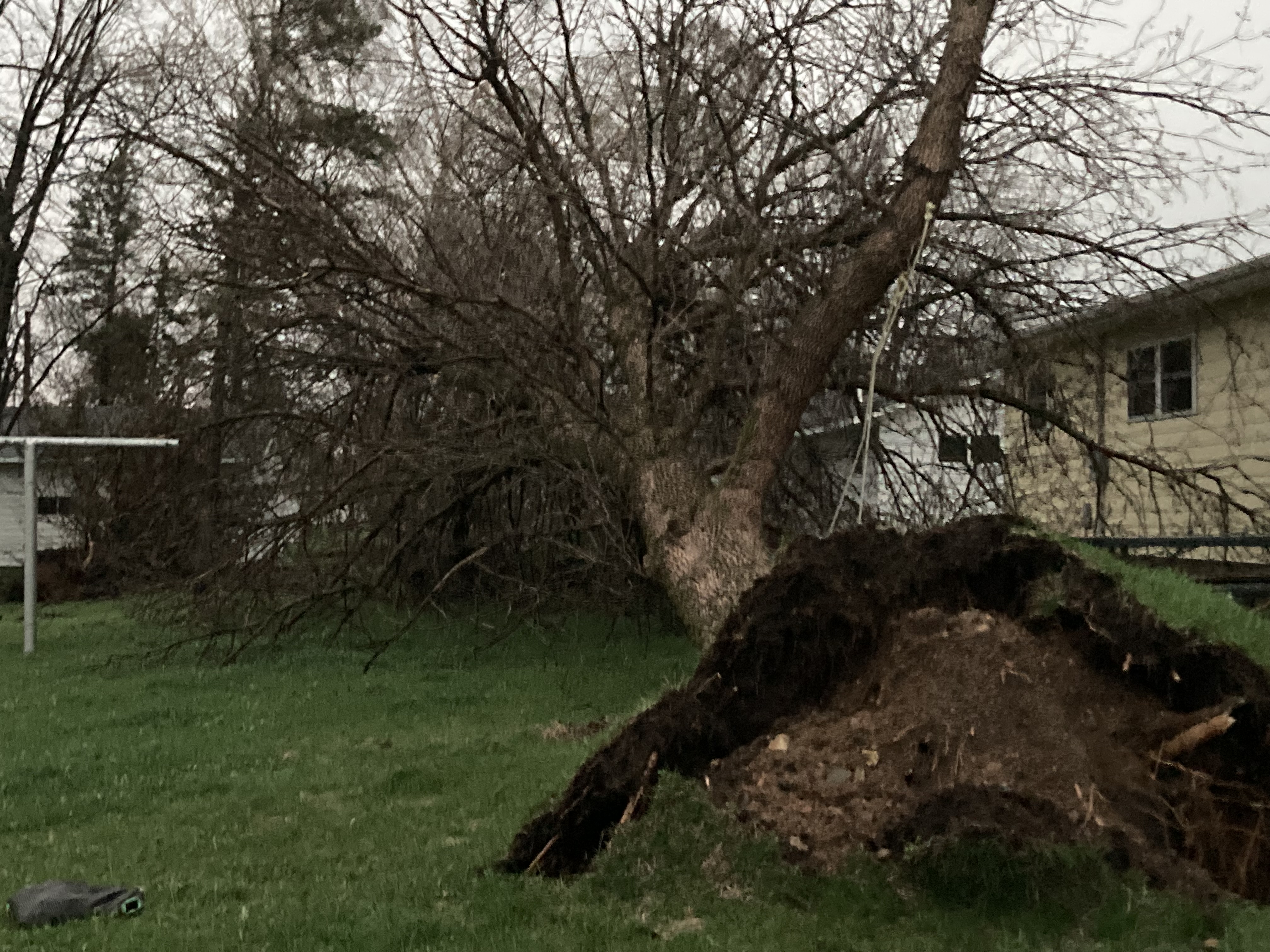 Strong winds leave destruction on way through central Minnesota Thursday night - Vimarsana News