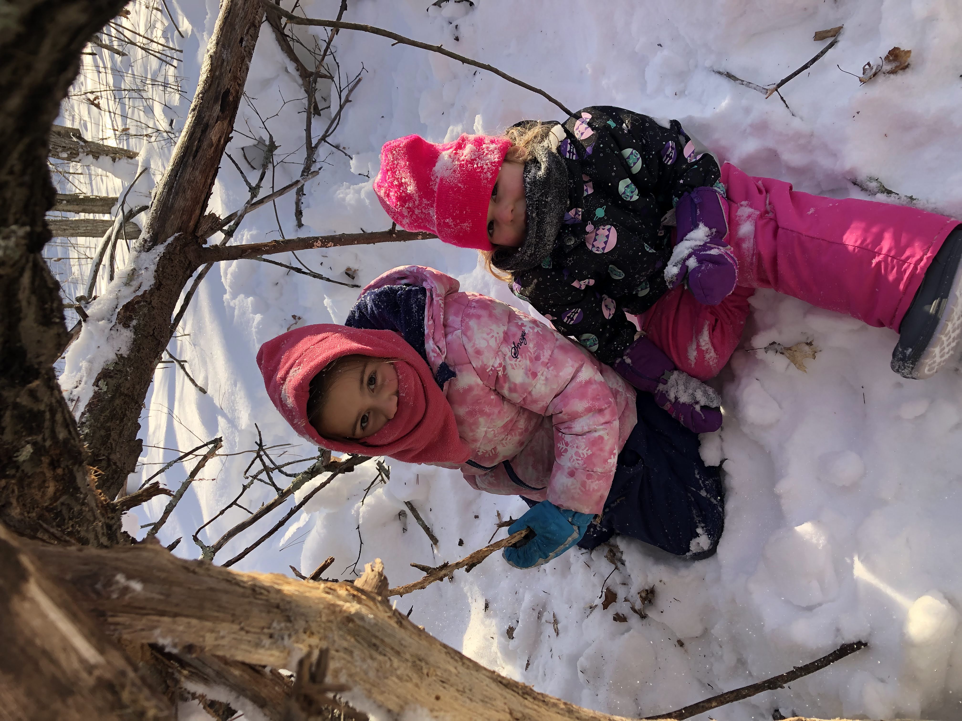 Happy Dancing Turtle in Pine River to hold Tiny Turtles winter event - Vimarsana News