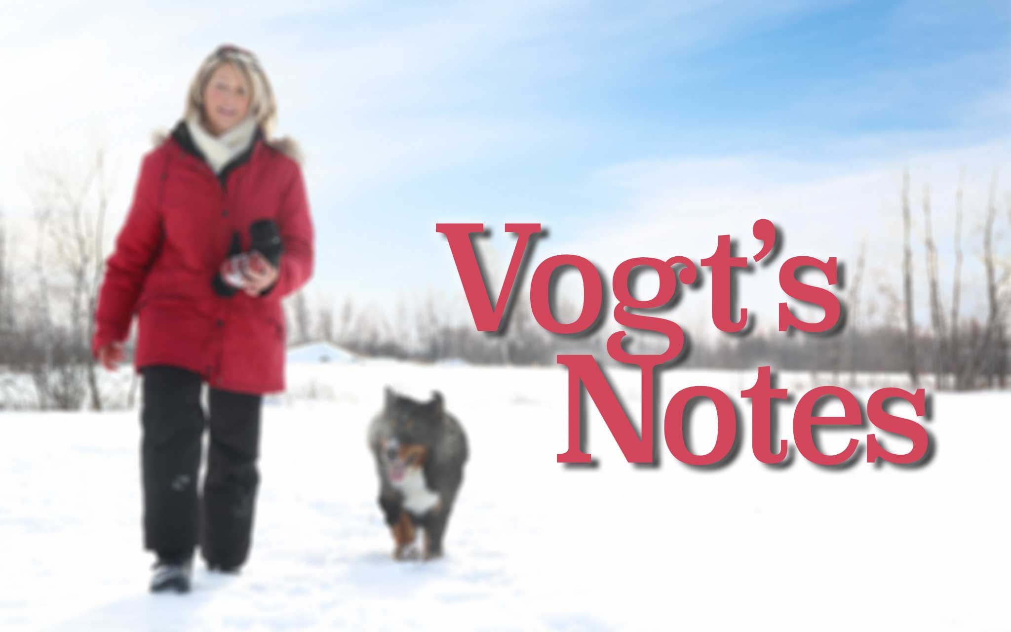 Vogt's Notes: Embrace your inner Minnesotan and enjoy winter - Vimarsana News