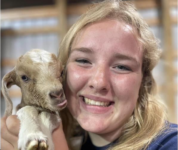 Wadena County 4-H members represent the area well - Vimarsana News