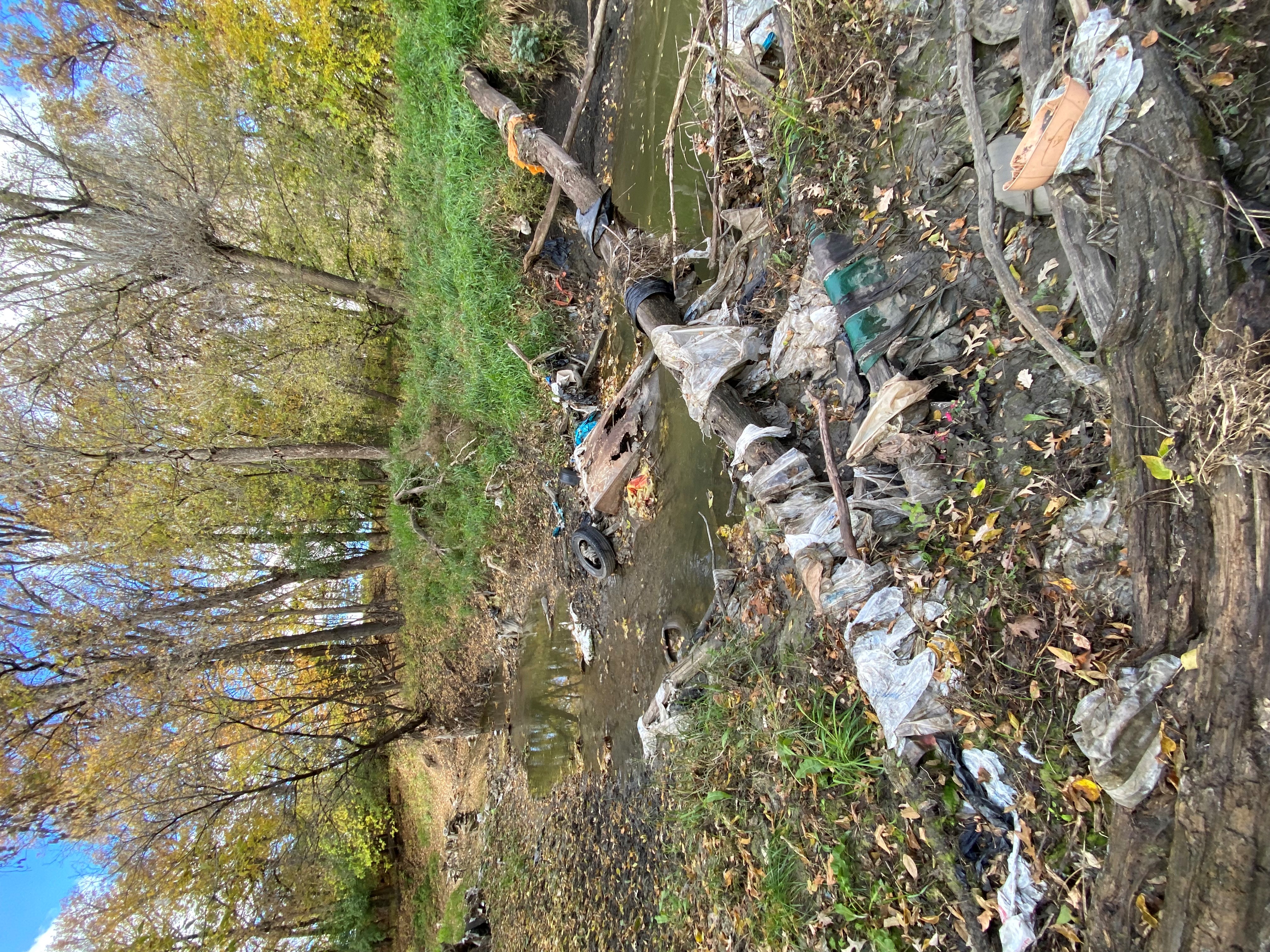 Moorhead plans Earth Day week volunteer opportunities - Vimarsana News
