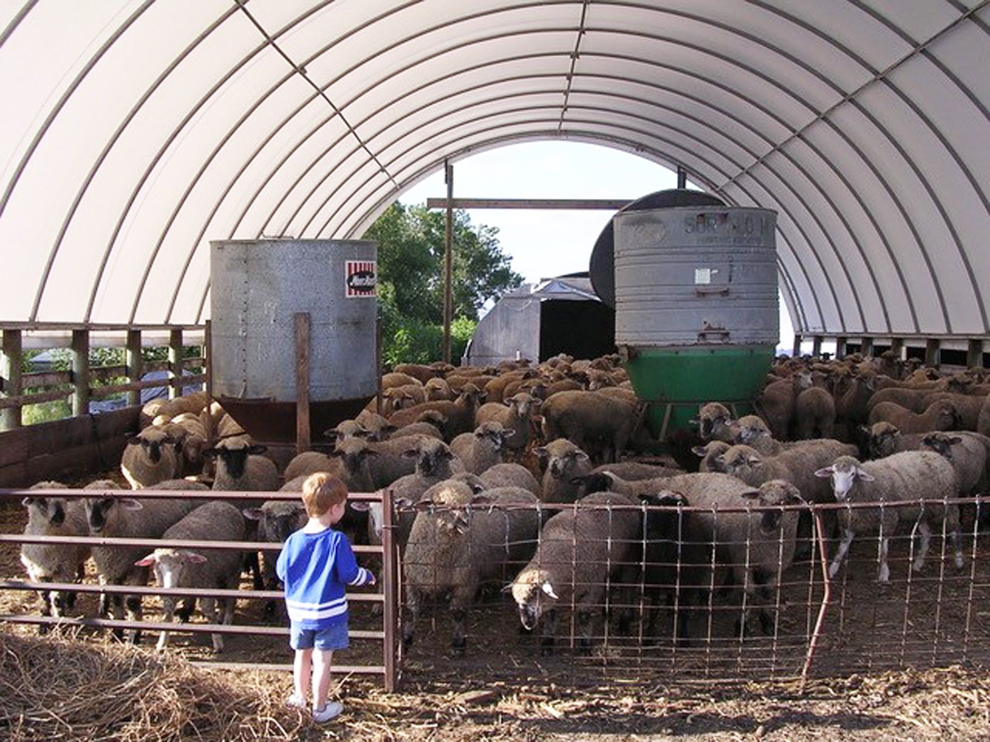 Animal Antibiotics and Parasite Management webinar offered - Vimarsana News