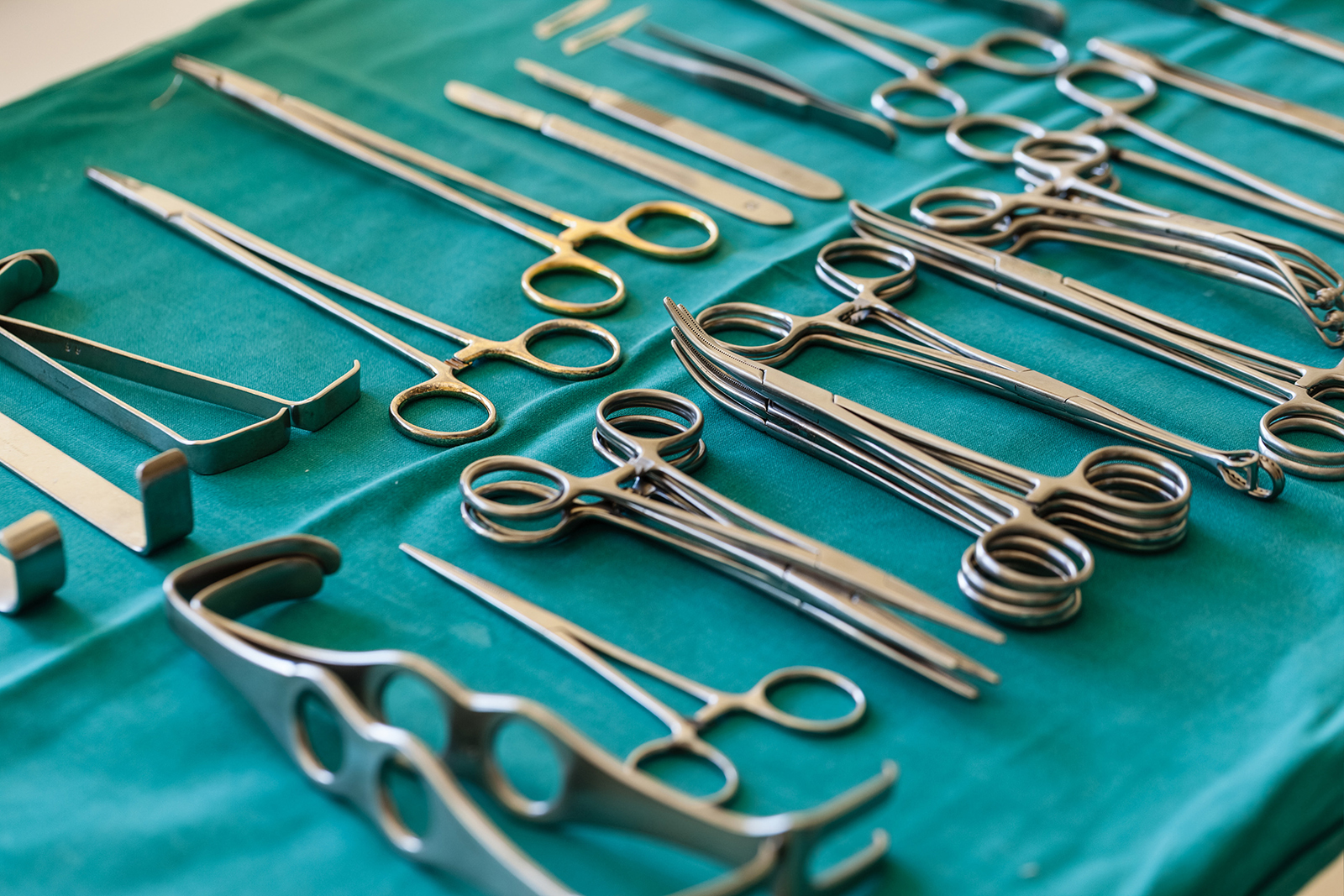 Organ transplants are up, but the agency in charge is under fire - Vimarsana News