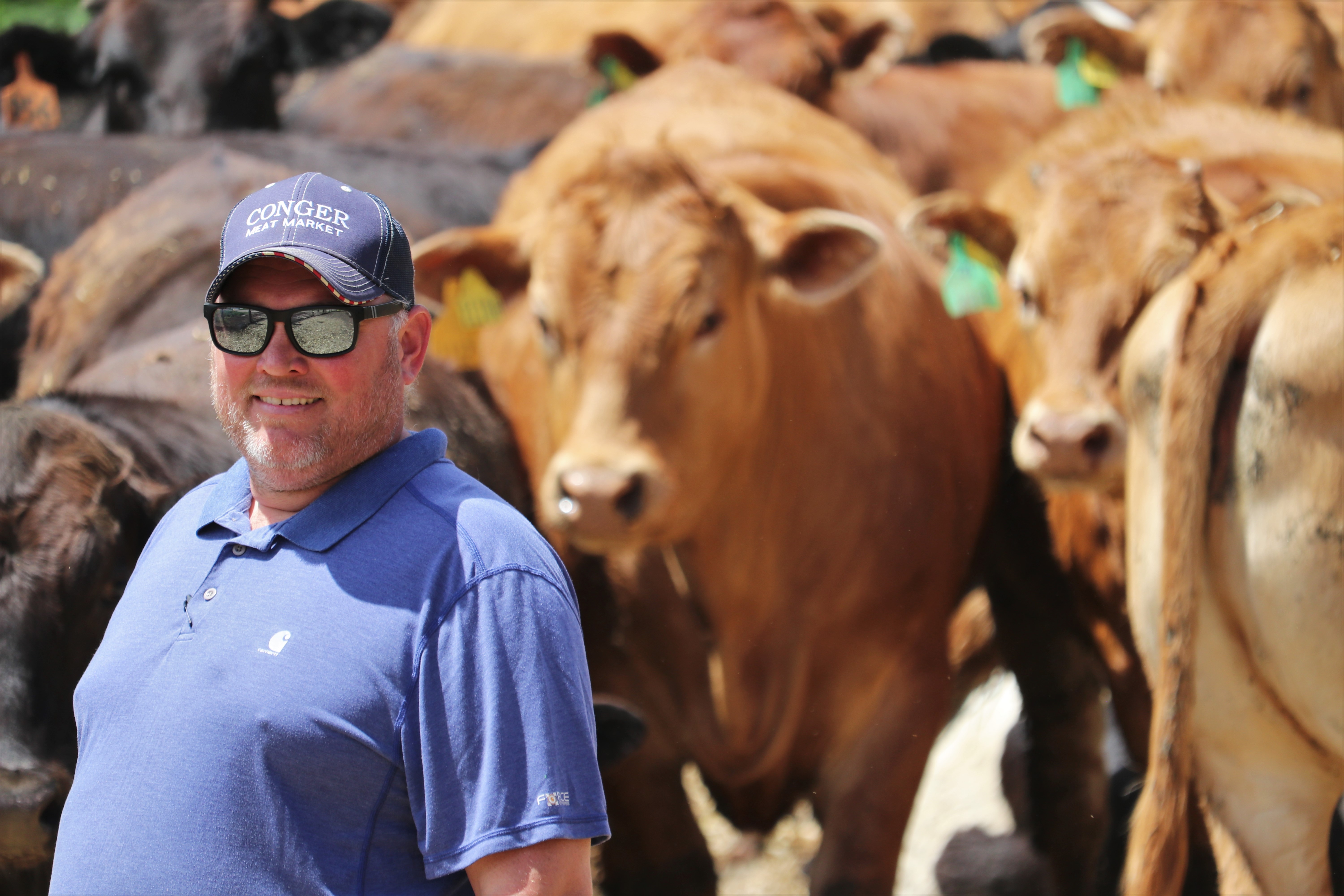 Fellers Ranch uses localized approach to capitalize on growing demand for wagyu beef - Vimarsana News
