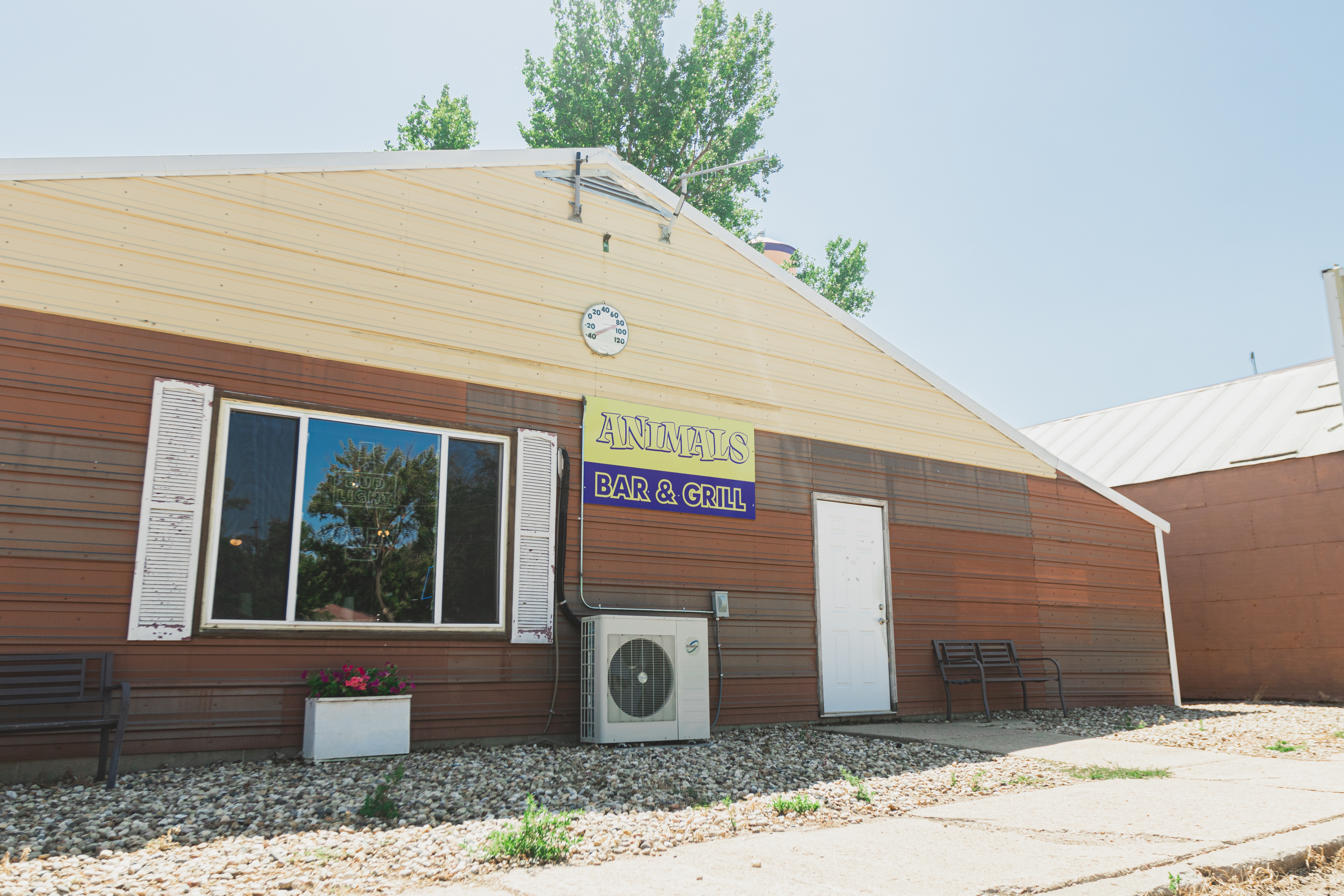 Animal's Bar and Grill in Canova serves up 'the works' - Mitchell Republic | News, weather, sports from Mitchell South Dakota - Vimarsana News