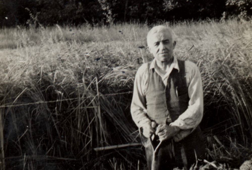 Peter Maurin's 'Green Revolution' is a longstanding reality for some Midwesterners - Vimarsana News