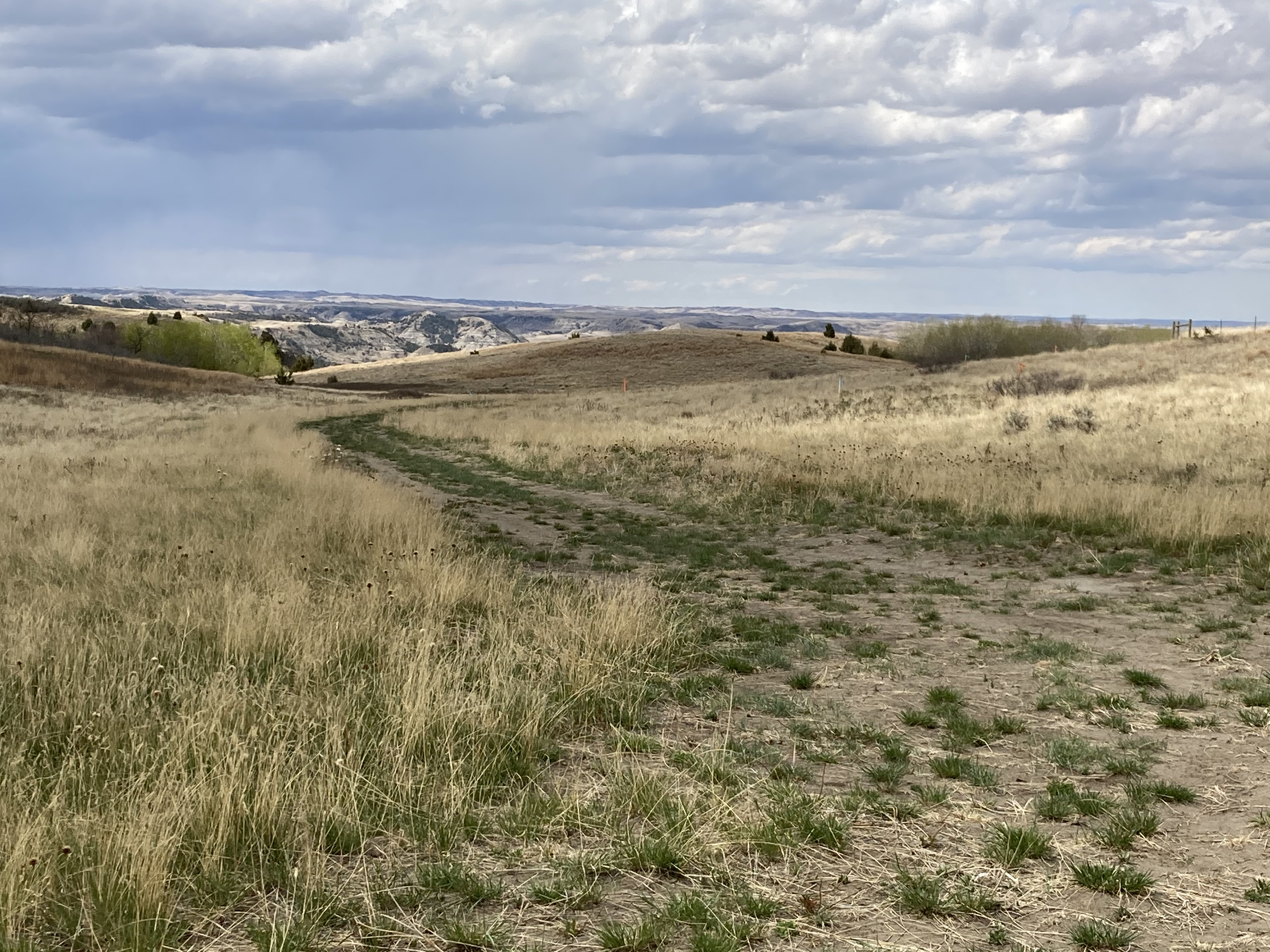 North Dakota State University Extension to hold reclamation workshop - Vimarsana News
