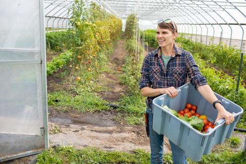 Local food makes for core learning in Minnesota schools - Vimarsana News