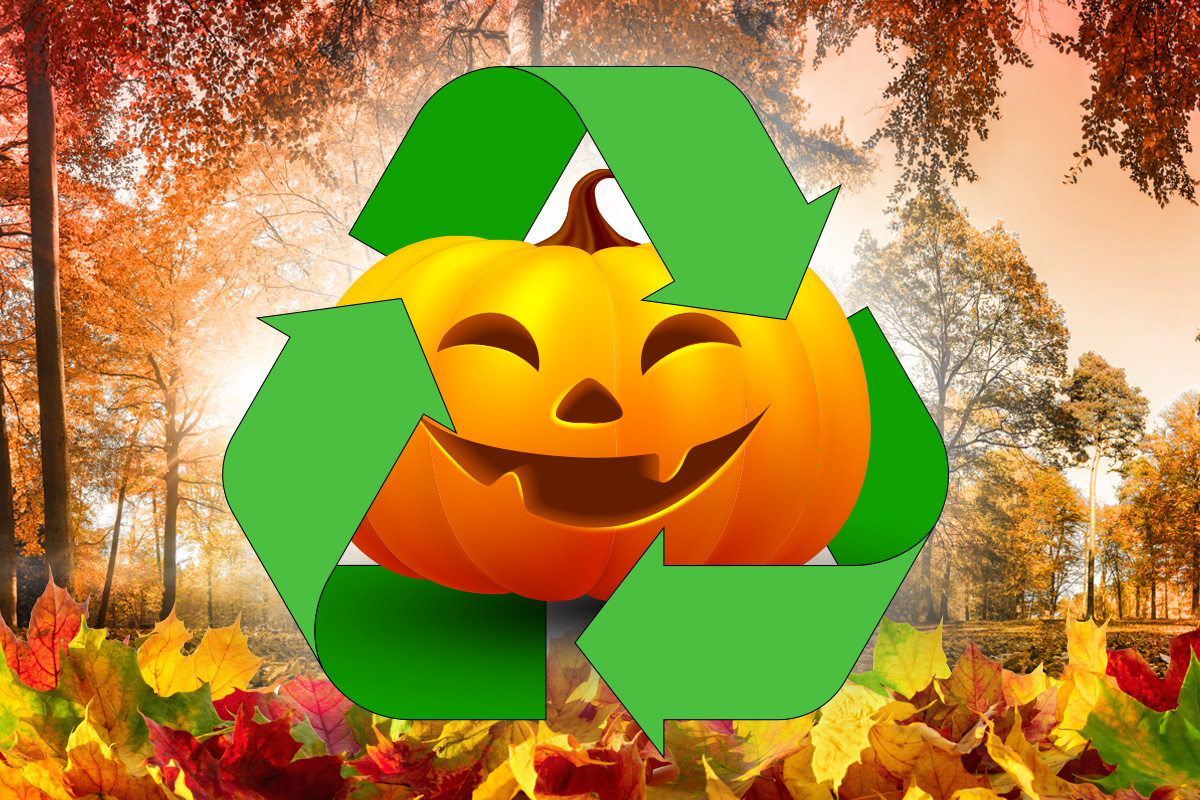 Want a low-waste Halloween? Try these eco-friendly treats - Vimarsana News
