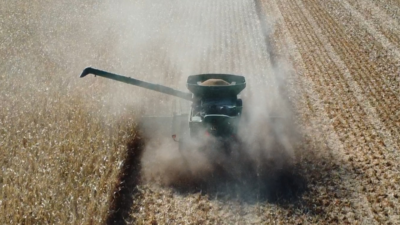Red River Valley farmers harvest as drought hits region - Vimarsana News