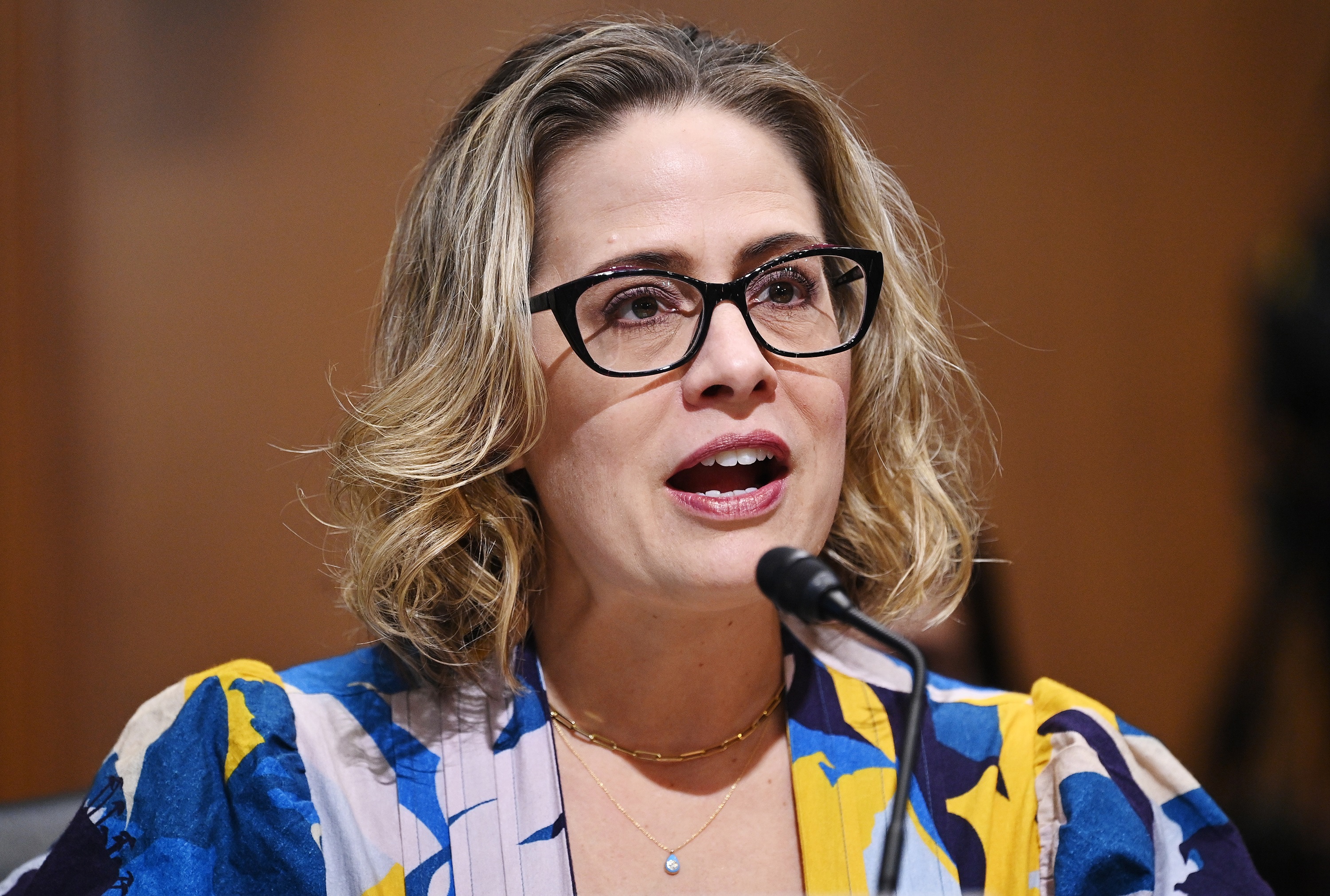 Jonathan Bernstein: Kyrsten Sinema misses the point about party politics - Vimarsana News
