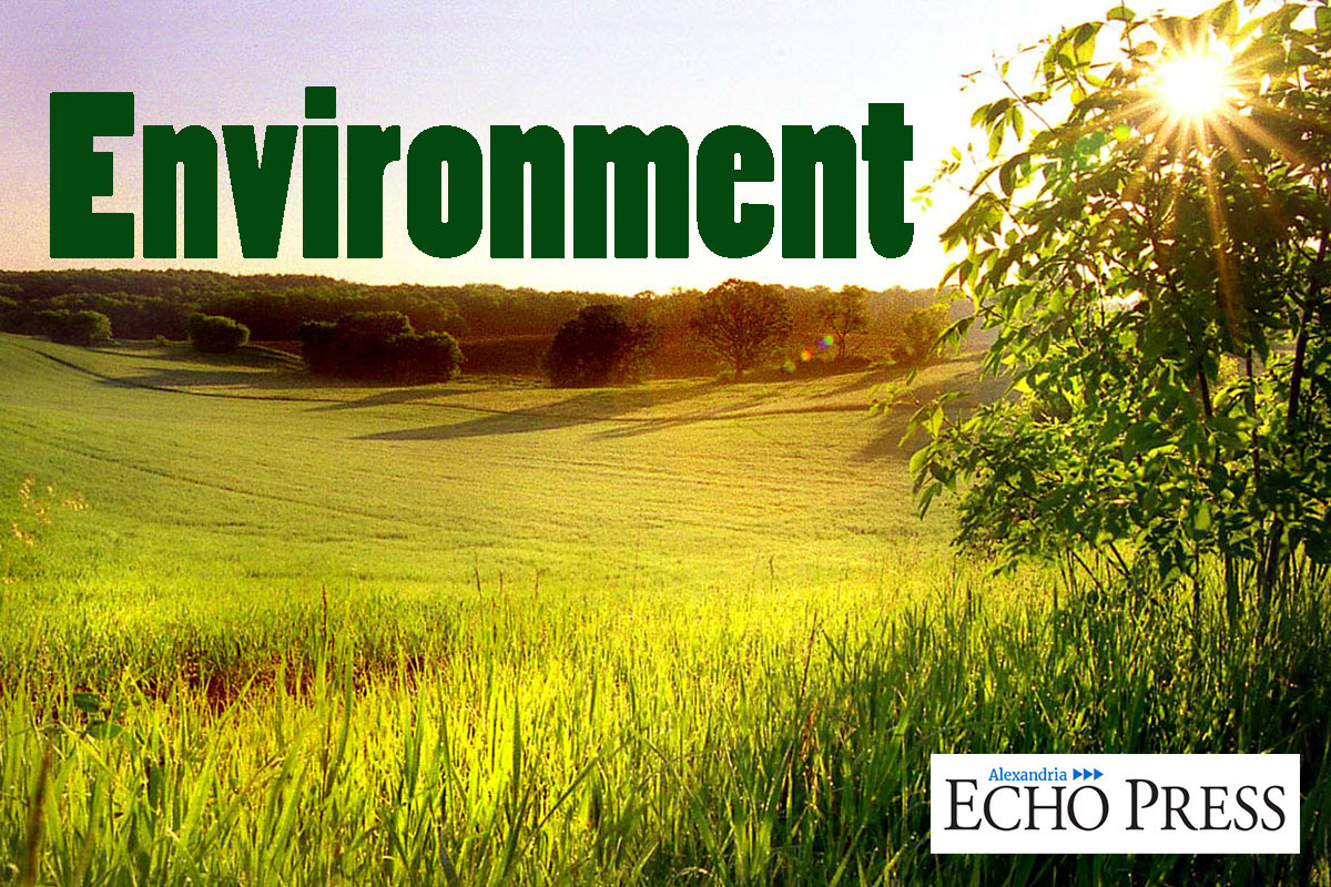 'Love the Earth' event in Alexandria Saturday, April 23 is moved indoors - Vimarsana News