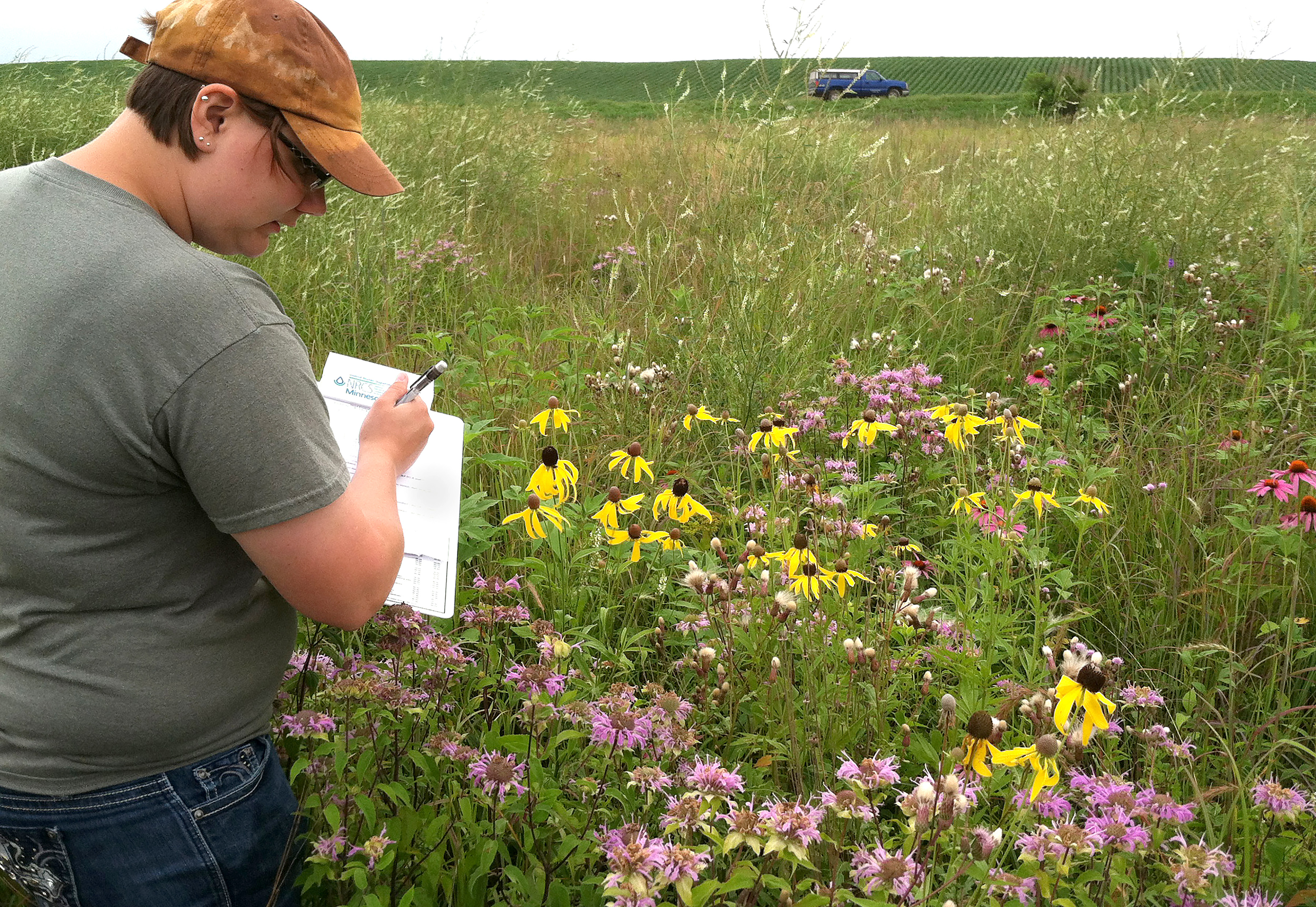 MN CREP easement links tracts of public land, augments habitat near Dundee - Vimarsana News