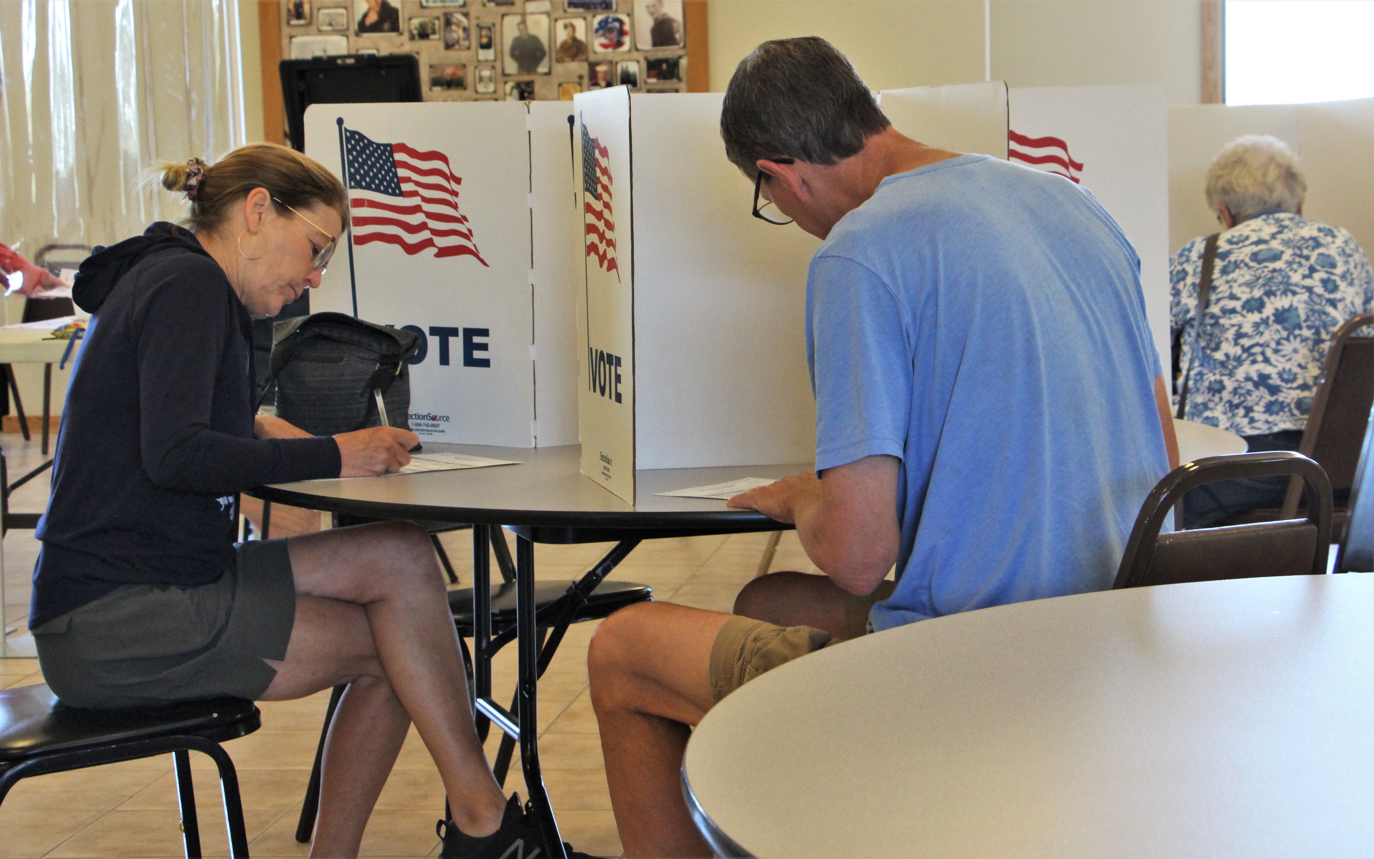 Four primary elections solidify lakes area legislative field - Vimarsana News