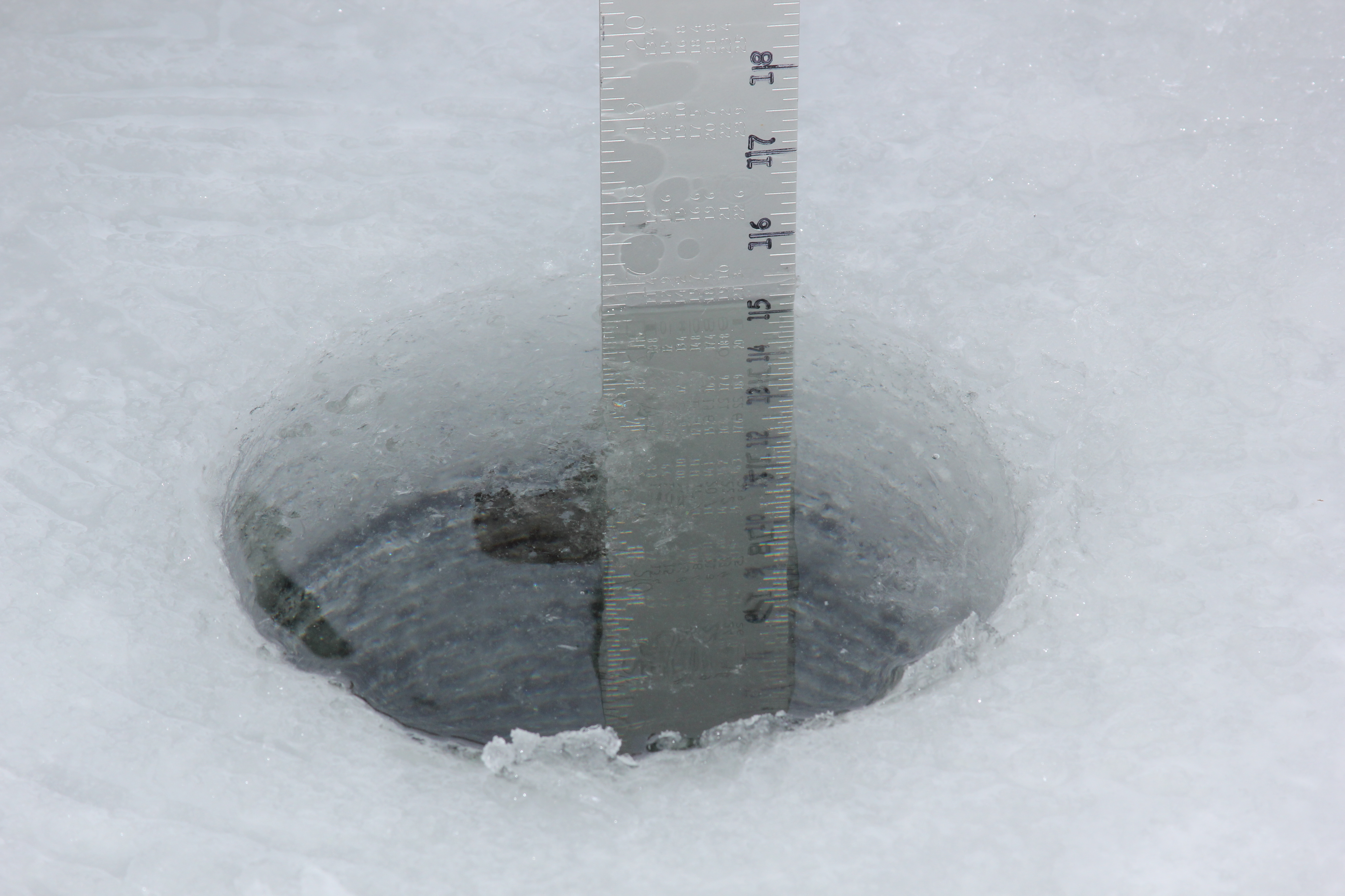 15 inches of ice means Brainerd Jaycees Ice Fishing Extravaganza 2023 is officially a go Jan. 28 - Vimarsana News
