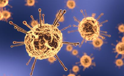 Just over 500 new COVID-19 cases reported in south central Minnesota - Vimarsana News
