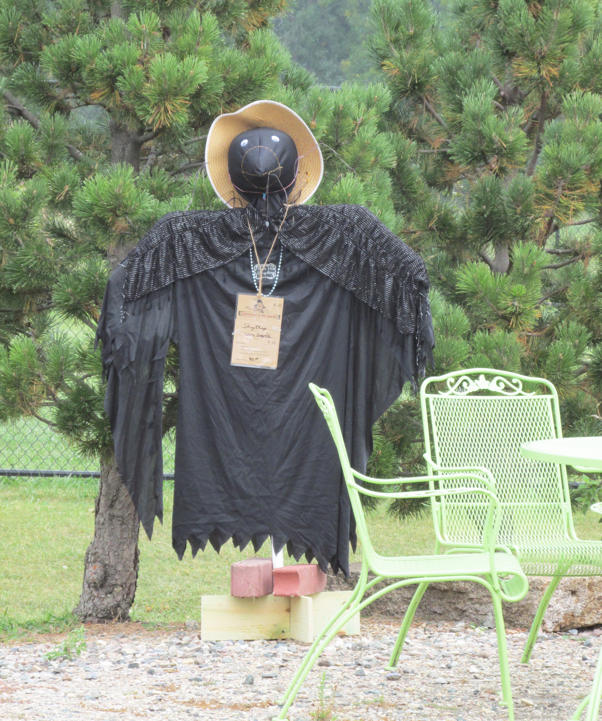 Where did the scarecrow come from? - Vimarsana News
