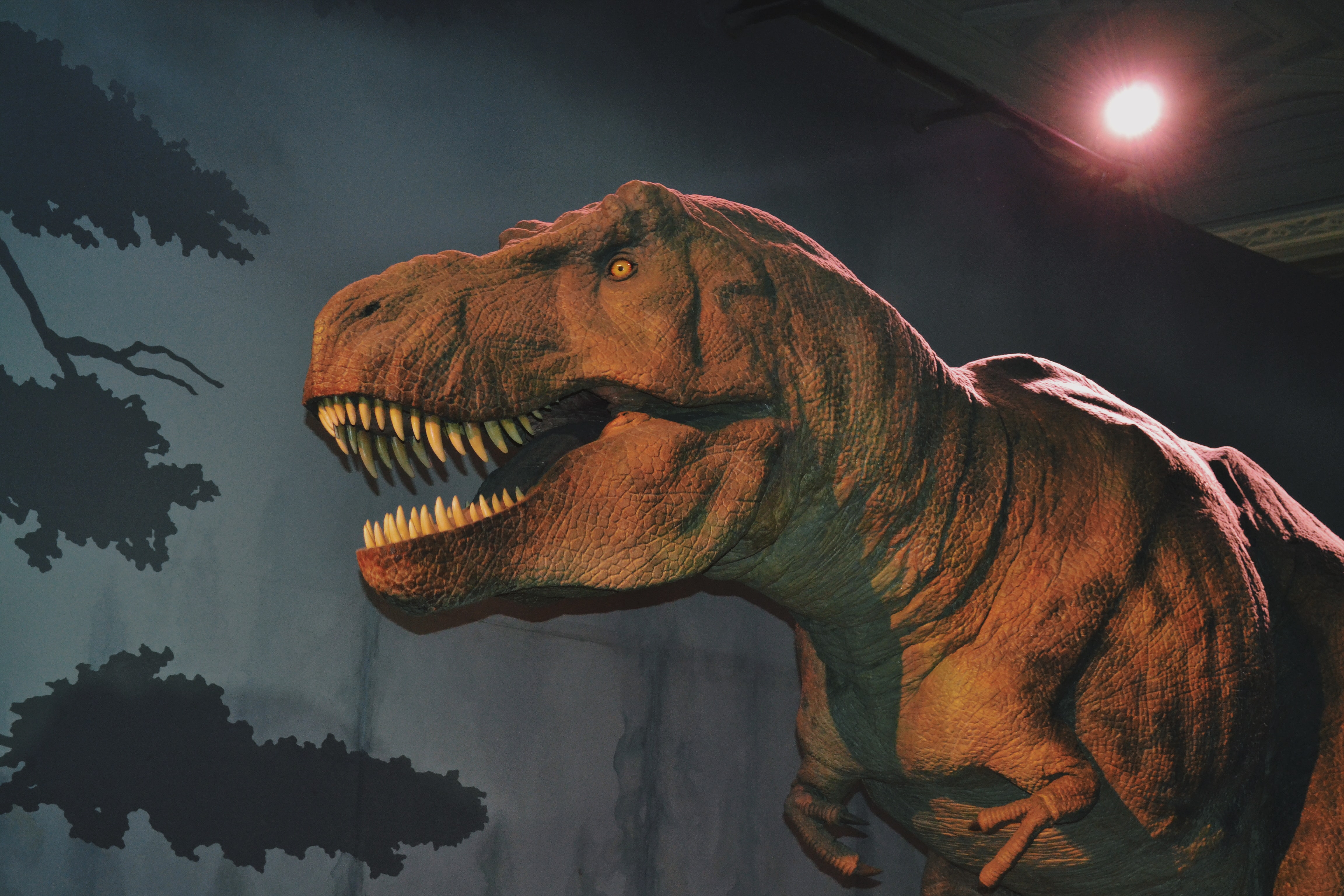 Review: 'Jurassic World: Dominion' takes bite out of box office - Brainerd Dispatch | News, weather, sports from Brainerd and Baxter - Vimarsana News