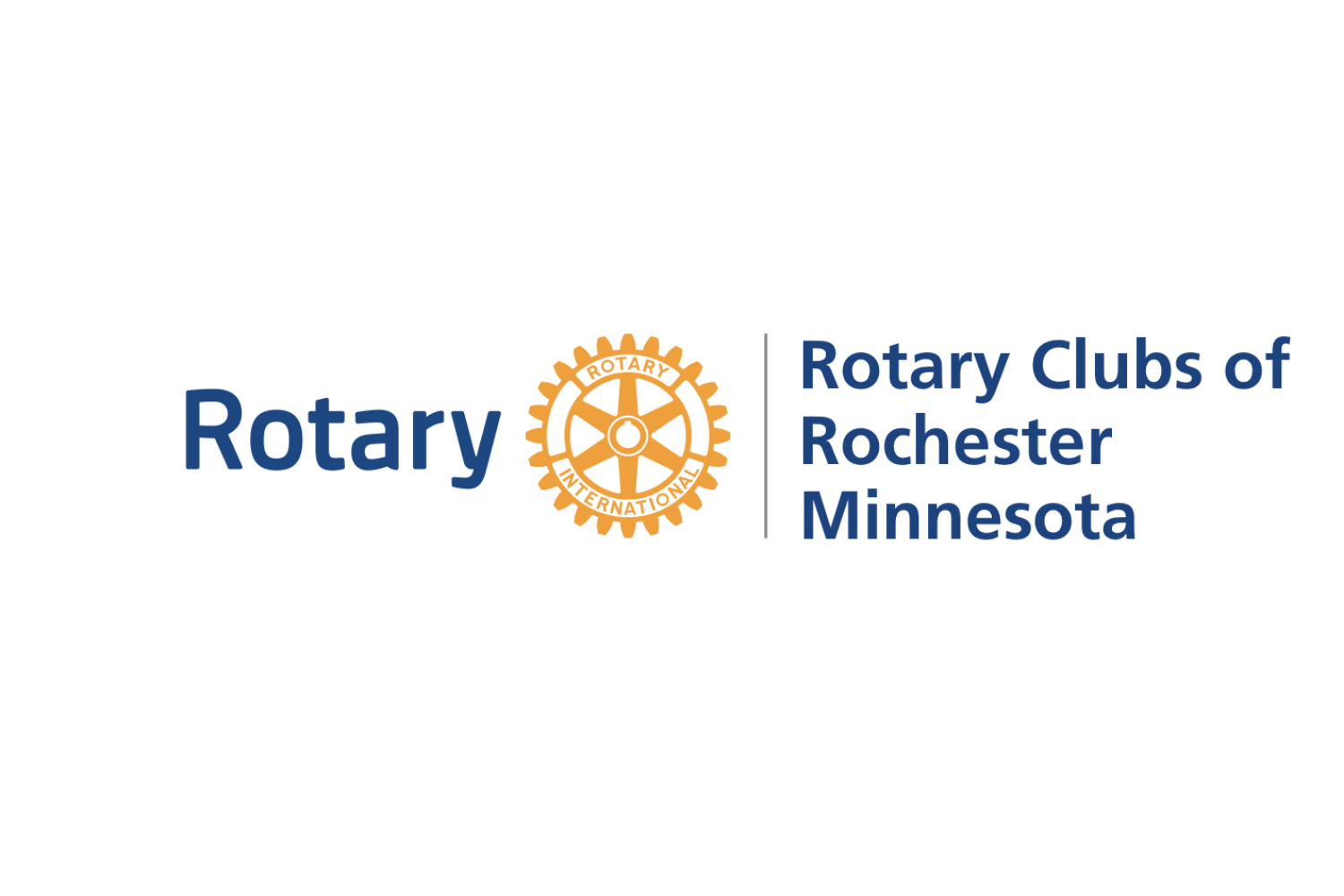 Rochester Rotary Clubs award $19,100 in grants to youth organizations - Vimarsana News