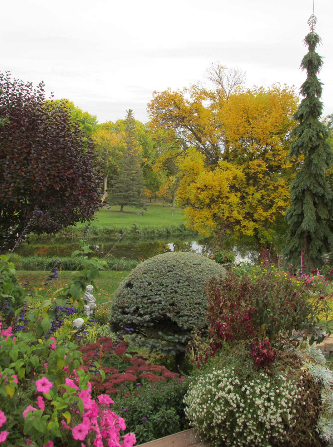 Enjoy the colors of the season - Vimarsana News