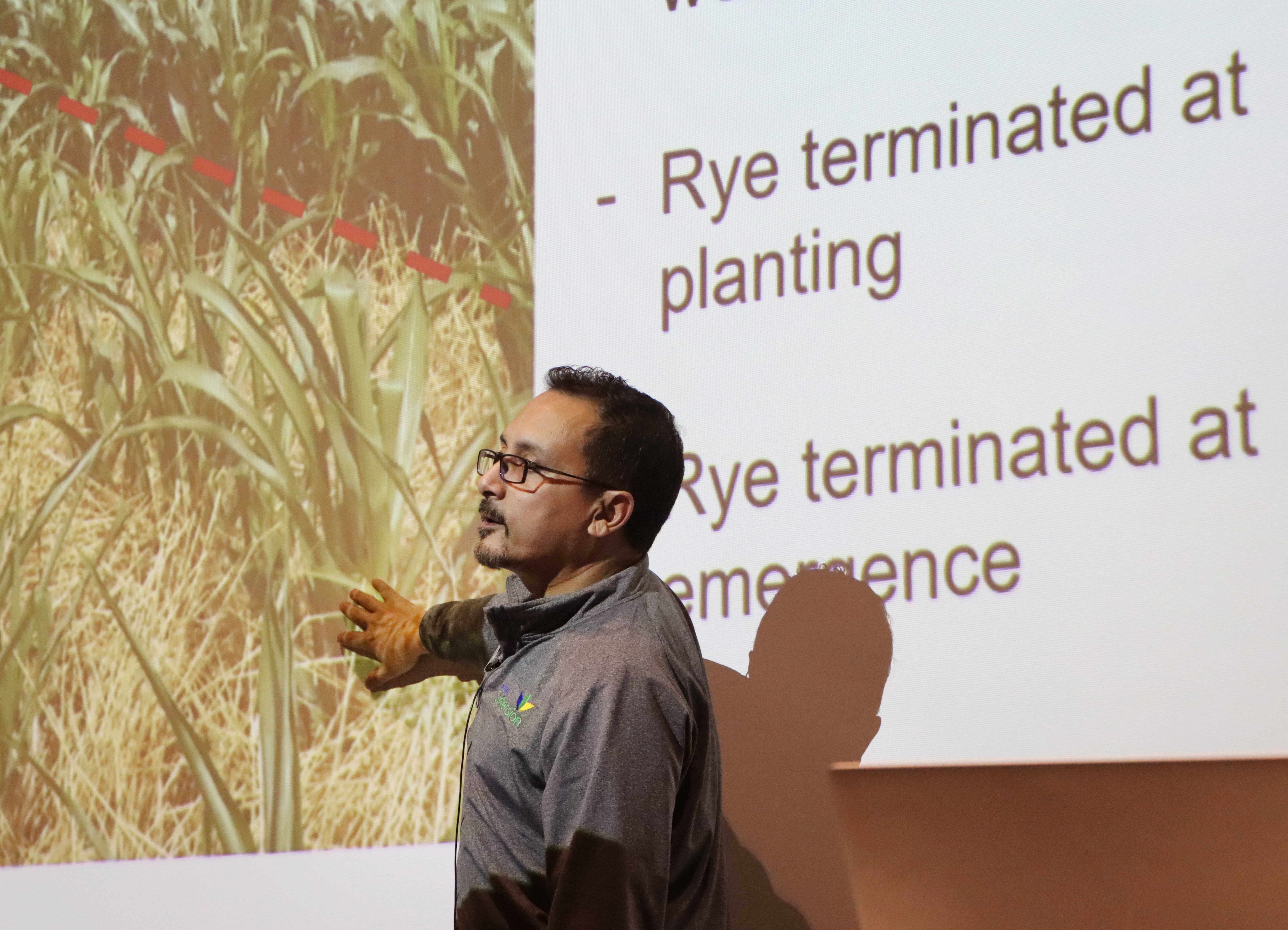 Will farmers catch the goodness of rye as a cover crop? - Vimarsana News