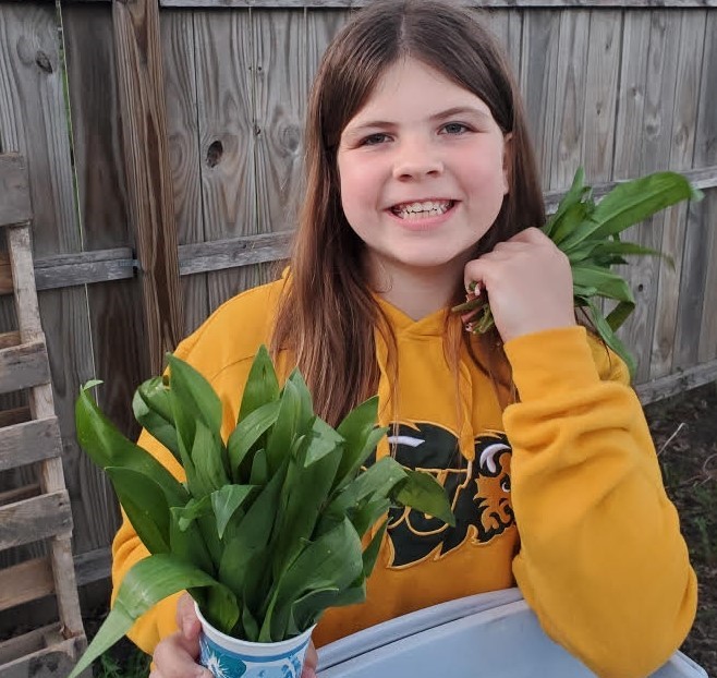 One happy ramper: Grade-school dynamo makes business out of foraging rare wild onion for Fargo chefs - Vimarsana News