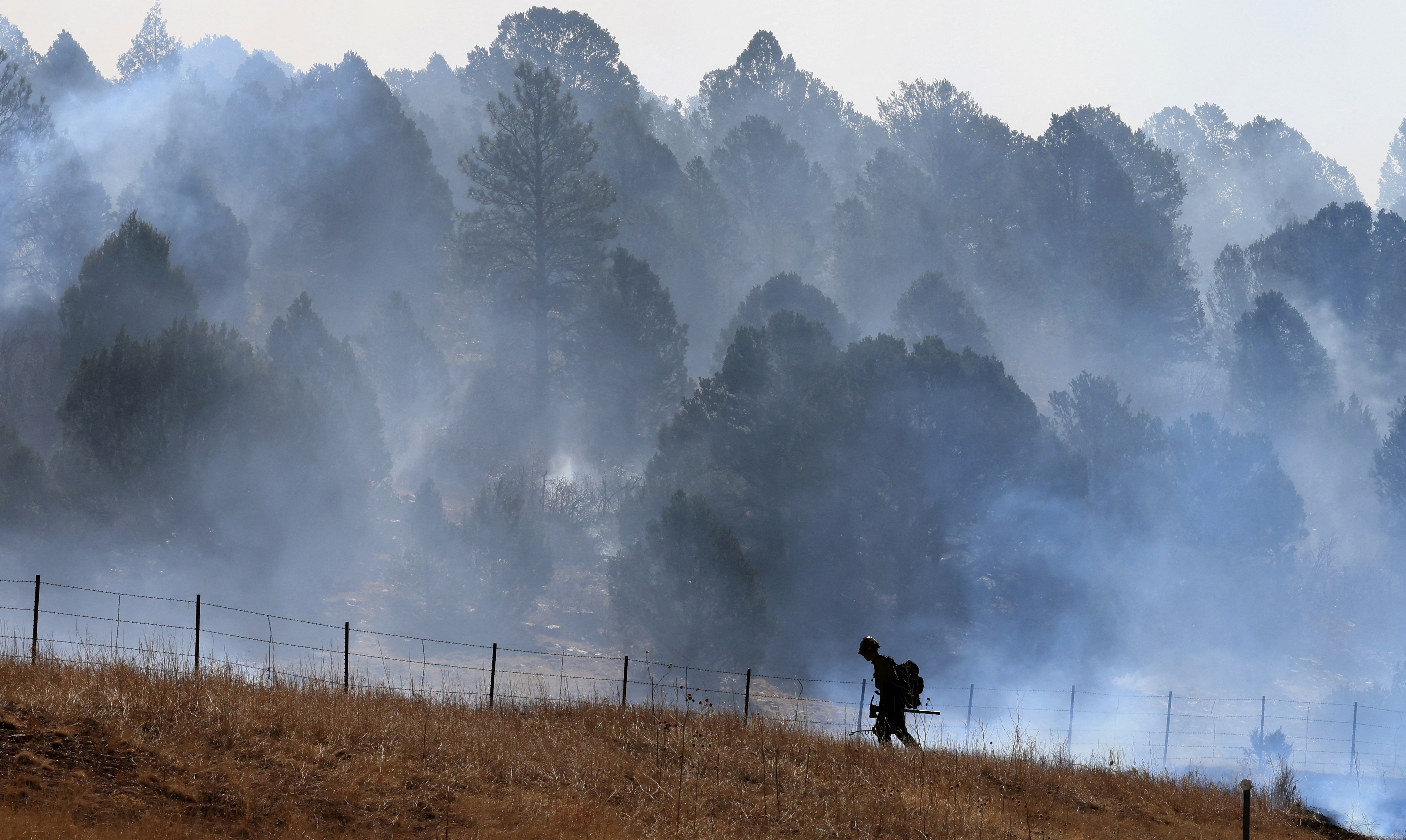 High winds expected to fan New Mexico wildfire over weekend - Vimarsana News