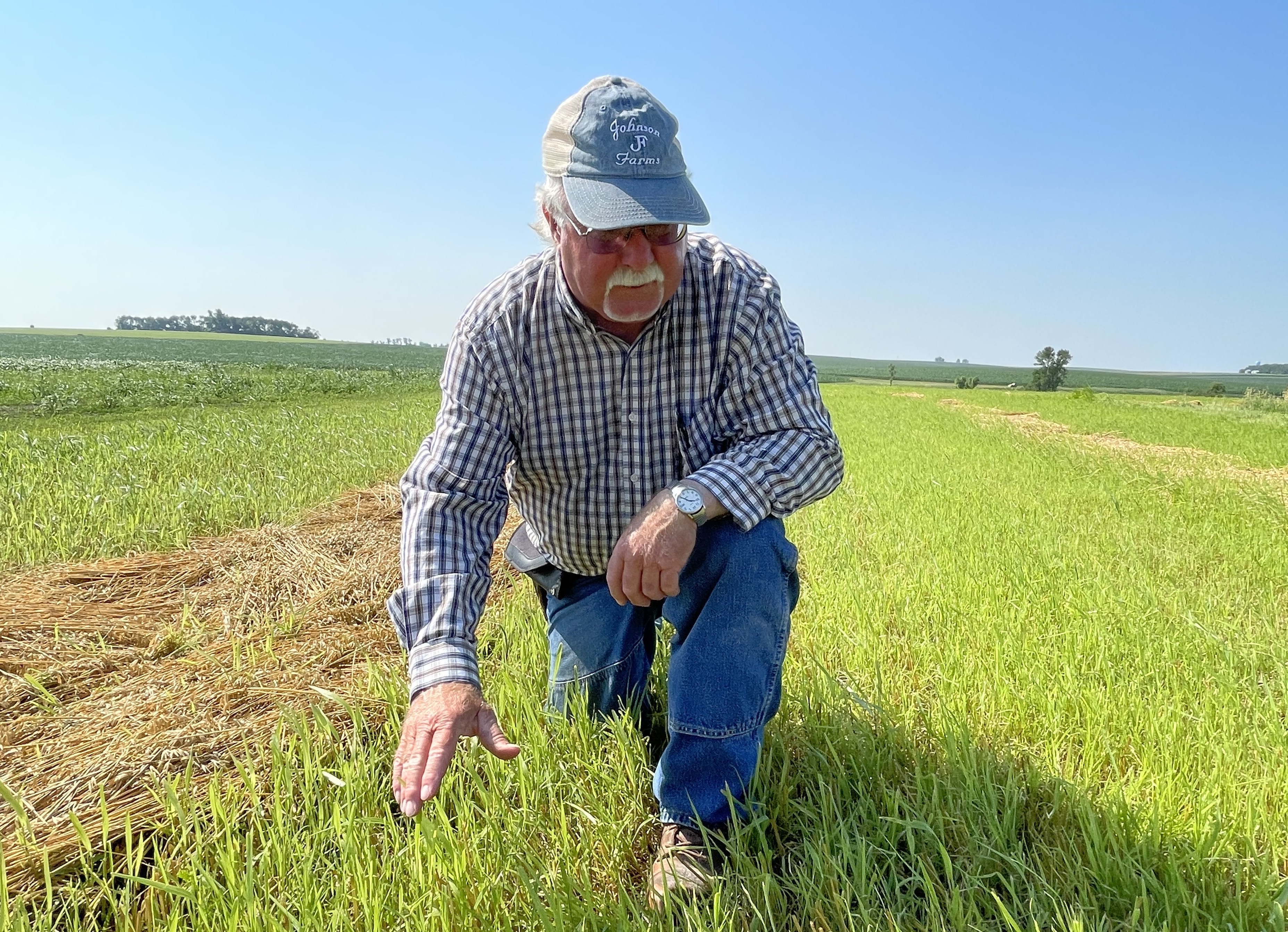 Fraud and weak USDA oversight chip away at integrity of organic food industry - Vimarsana News