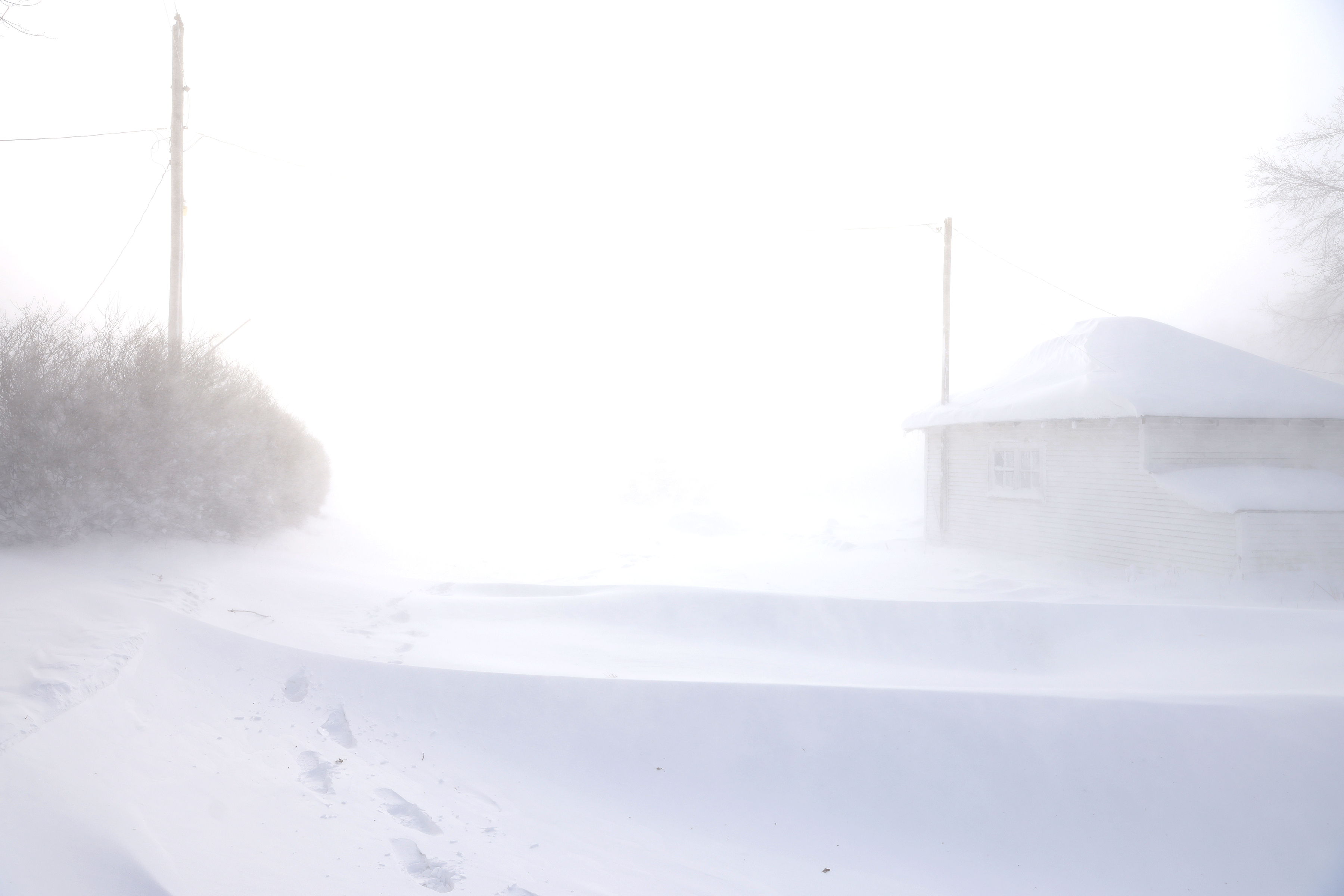 Photos + Video: December blizzard brings -45 degree windchills, stranded motorists - Vimarsana News