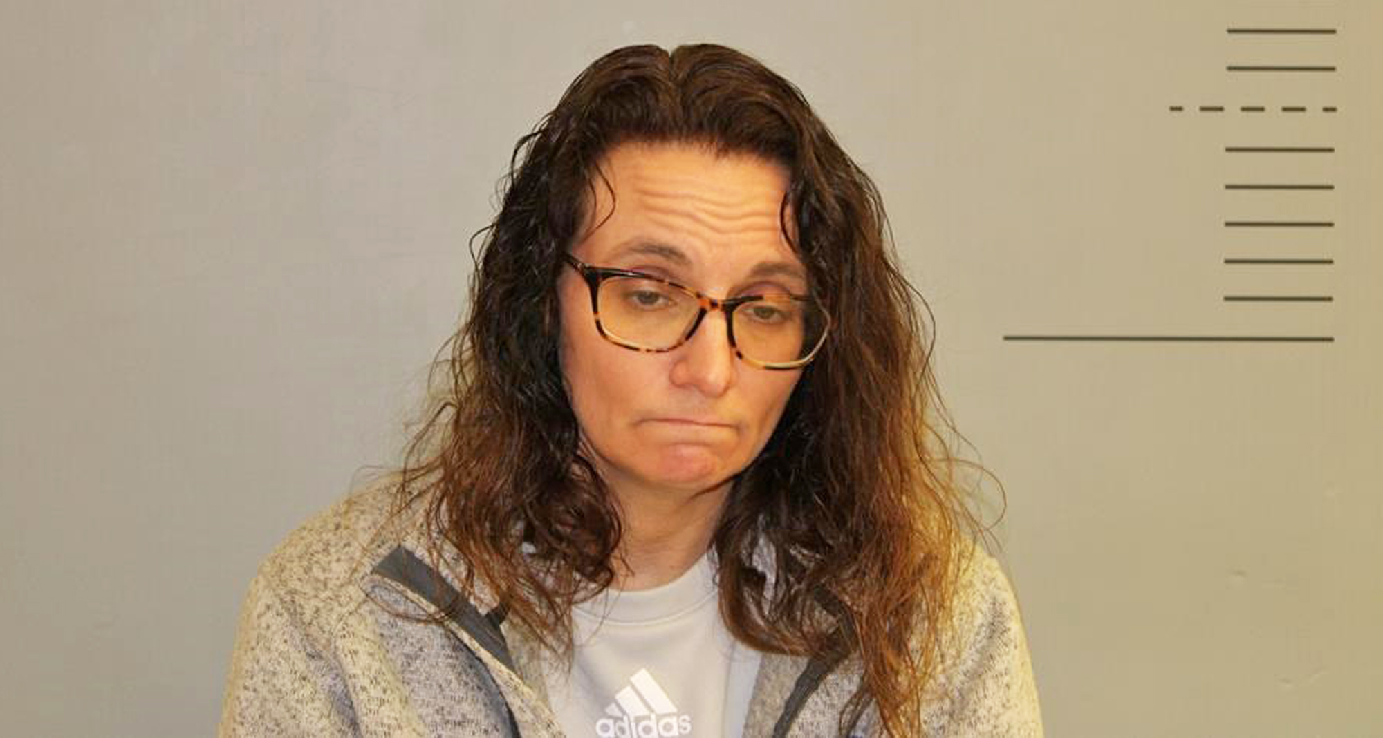 Jamestown teacher faces felony charge, several misdemeanor charges - Vimarsana News