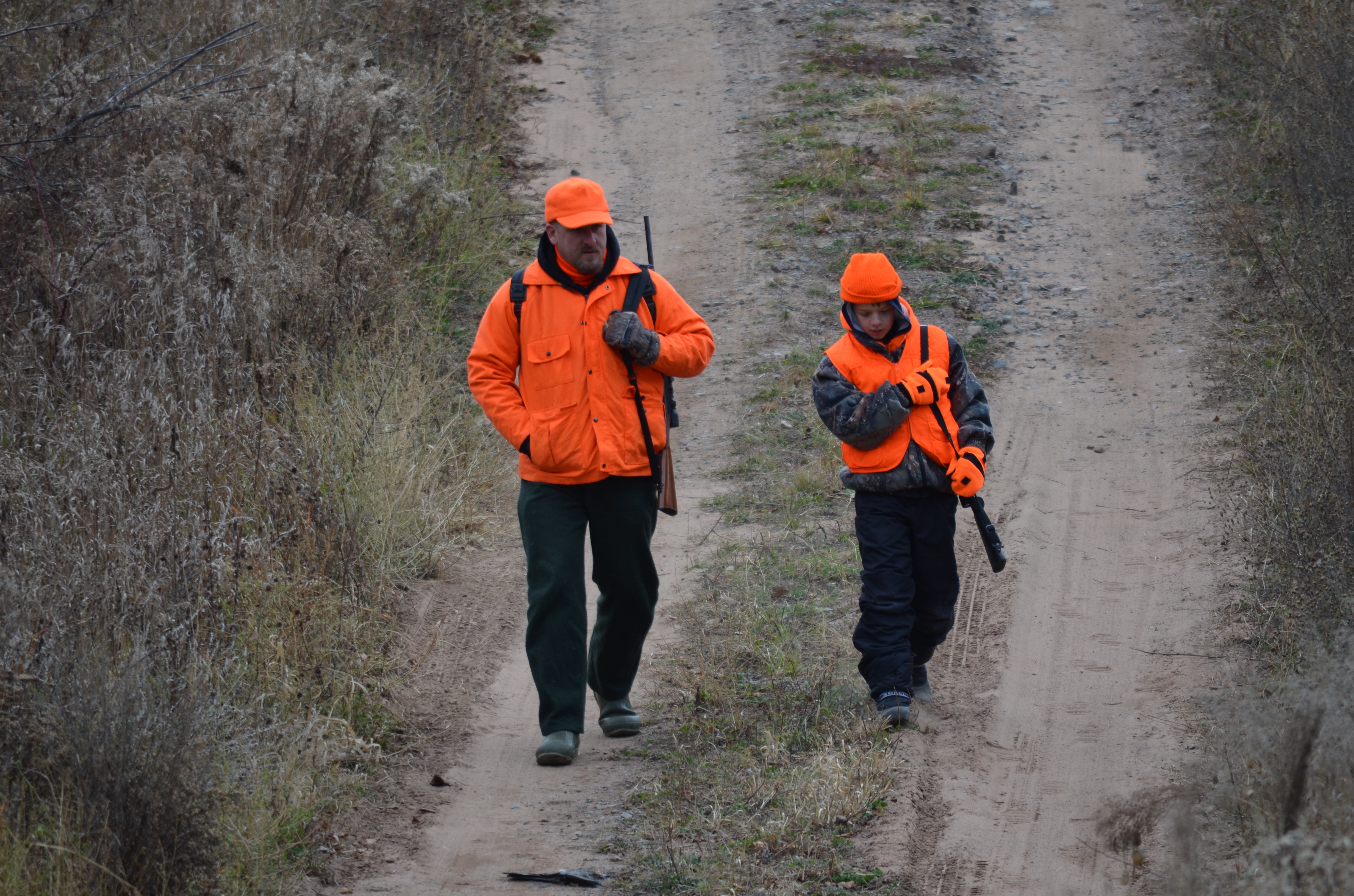 Minnesota deer harvest surpasses 110K, northwest down 9%, preliminary DNR numbers show - Vimarsana News