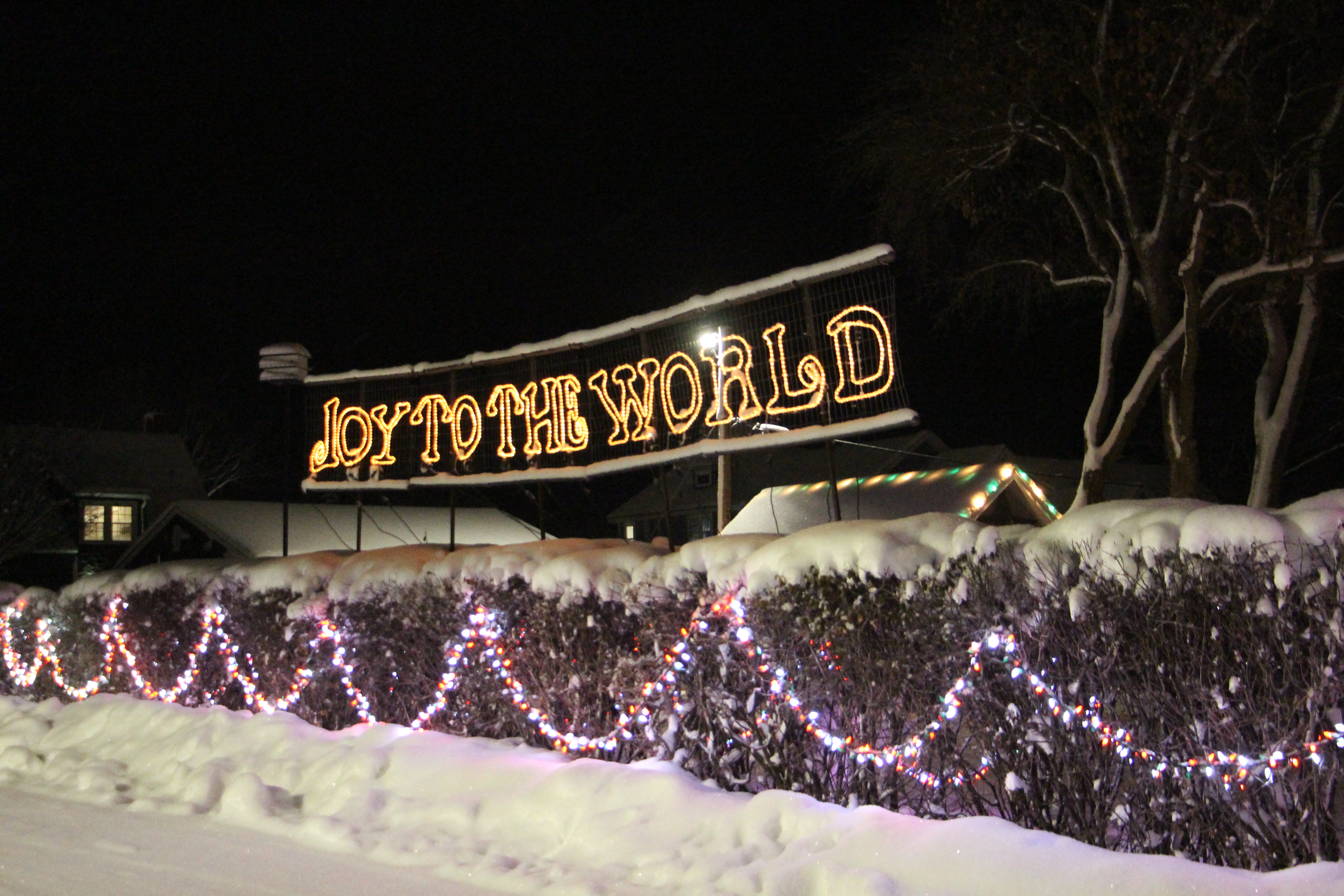 Christmas in Wadena light display is year-round labor of love for local resident - Vimarsana News