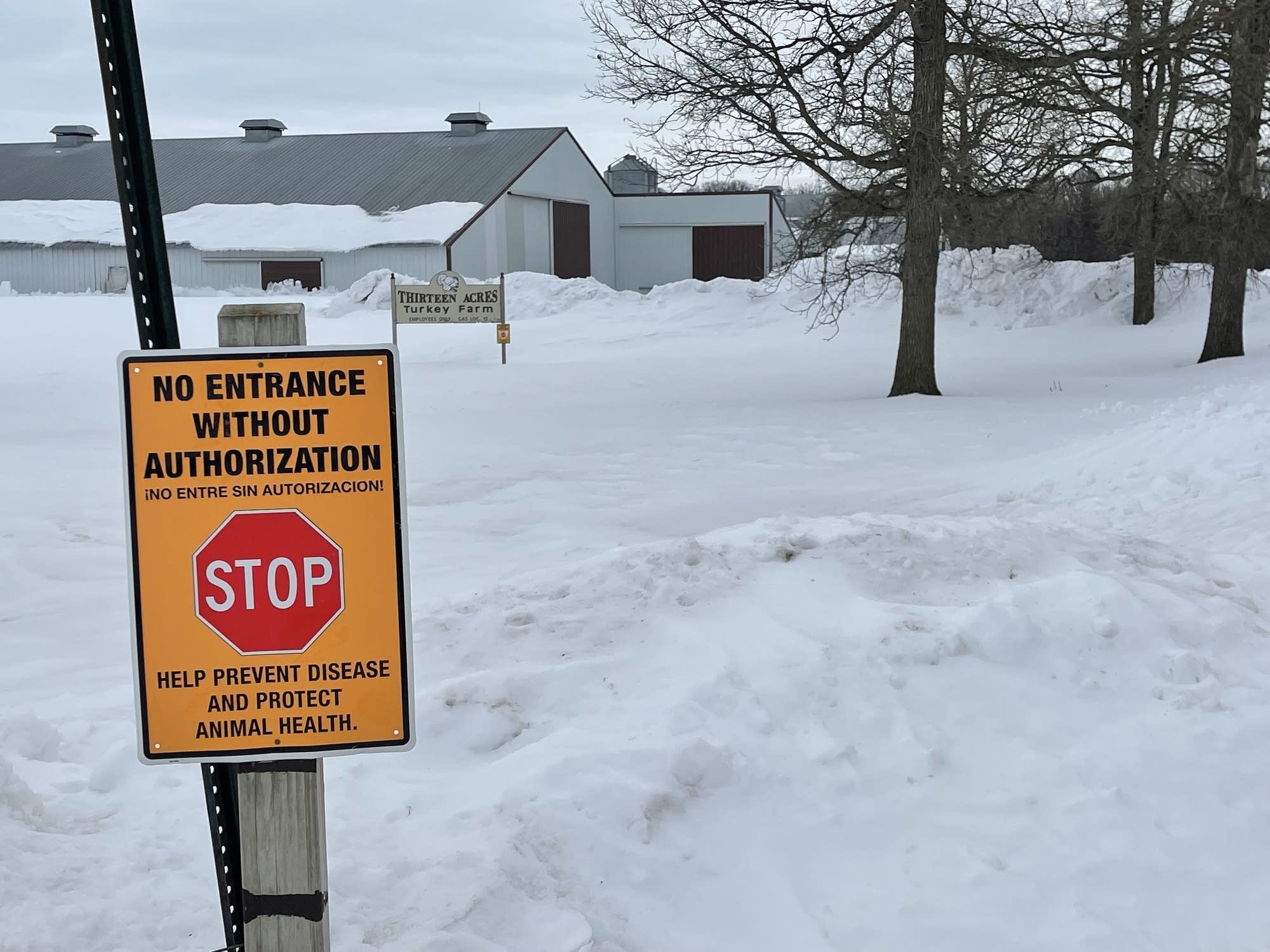 Threat of deadly virus keeps Minnesota poultry farmers on edge - Vimarsana News